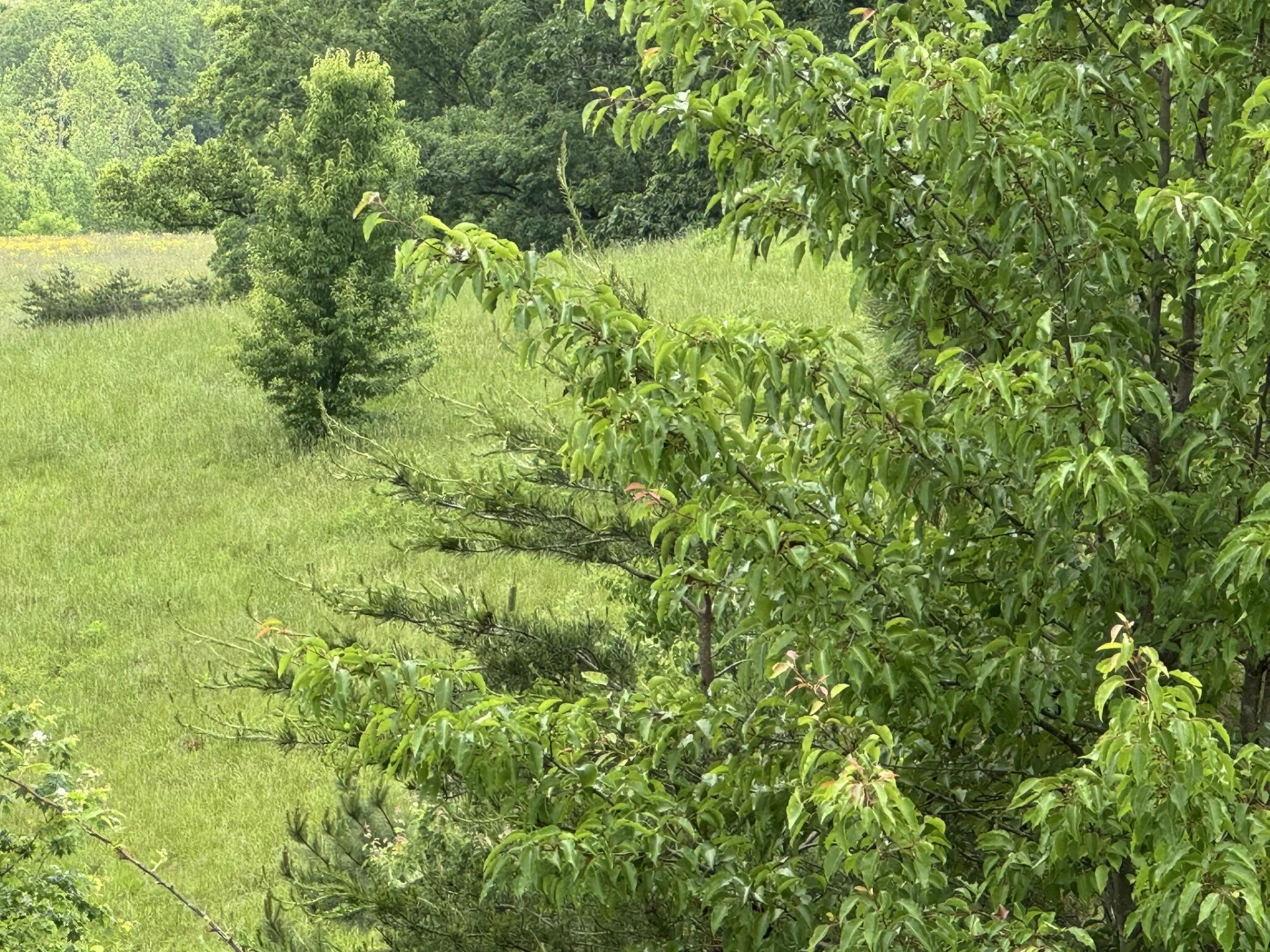 2745 Old Quarry RD - Photo 63