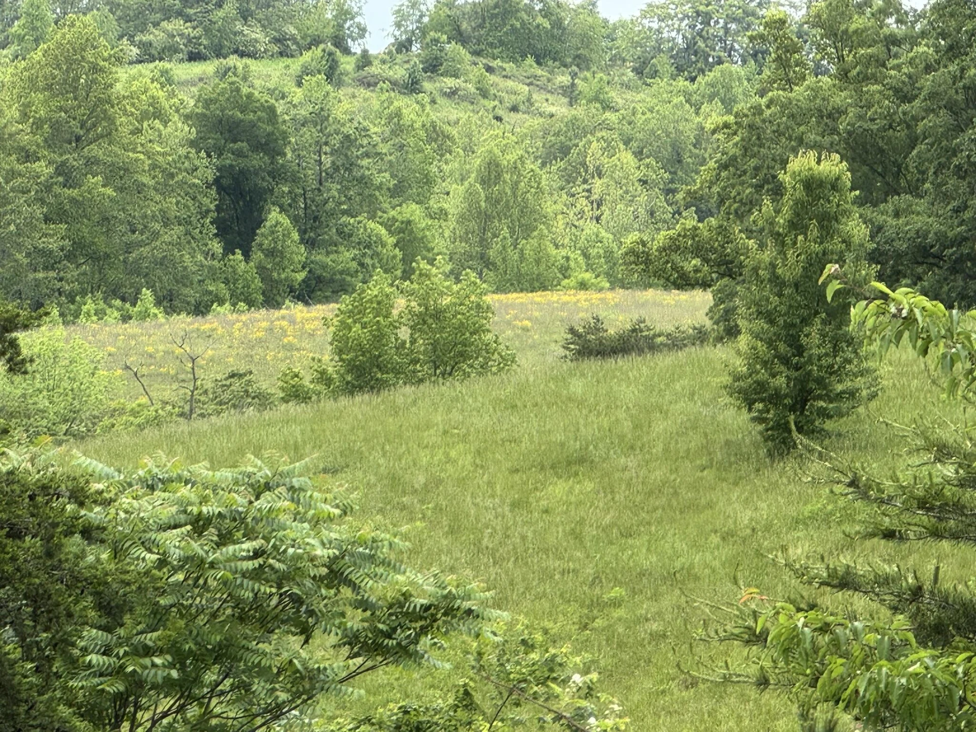 2745 Old Quarry RD - Photo 64