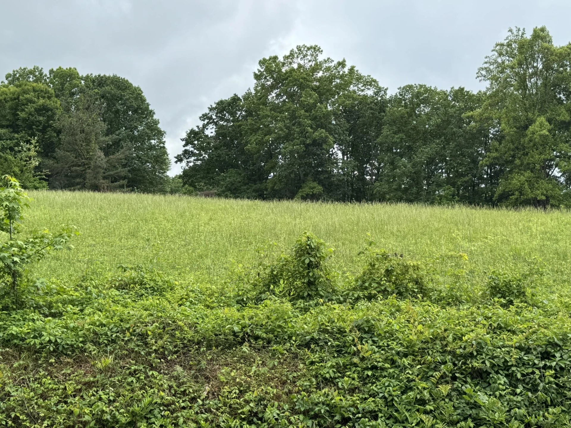 2745 Old Quarry RD - Photo 65