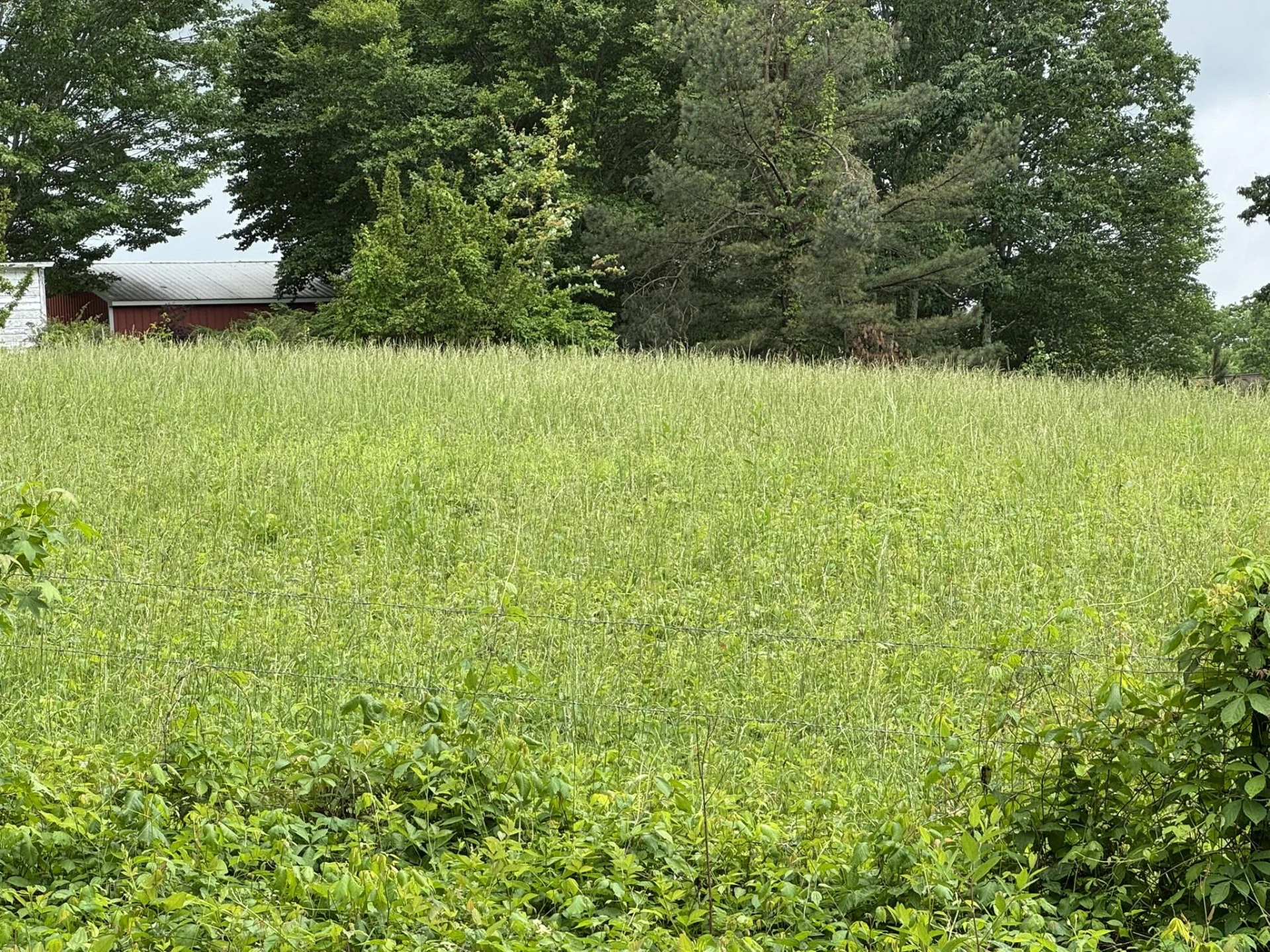 2745 Old Quarry RD - Photo 66
