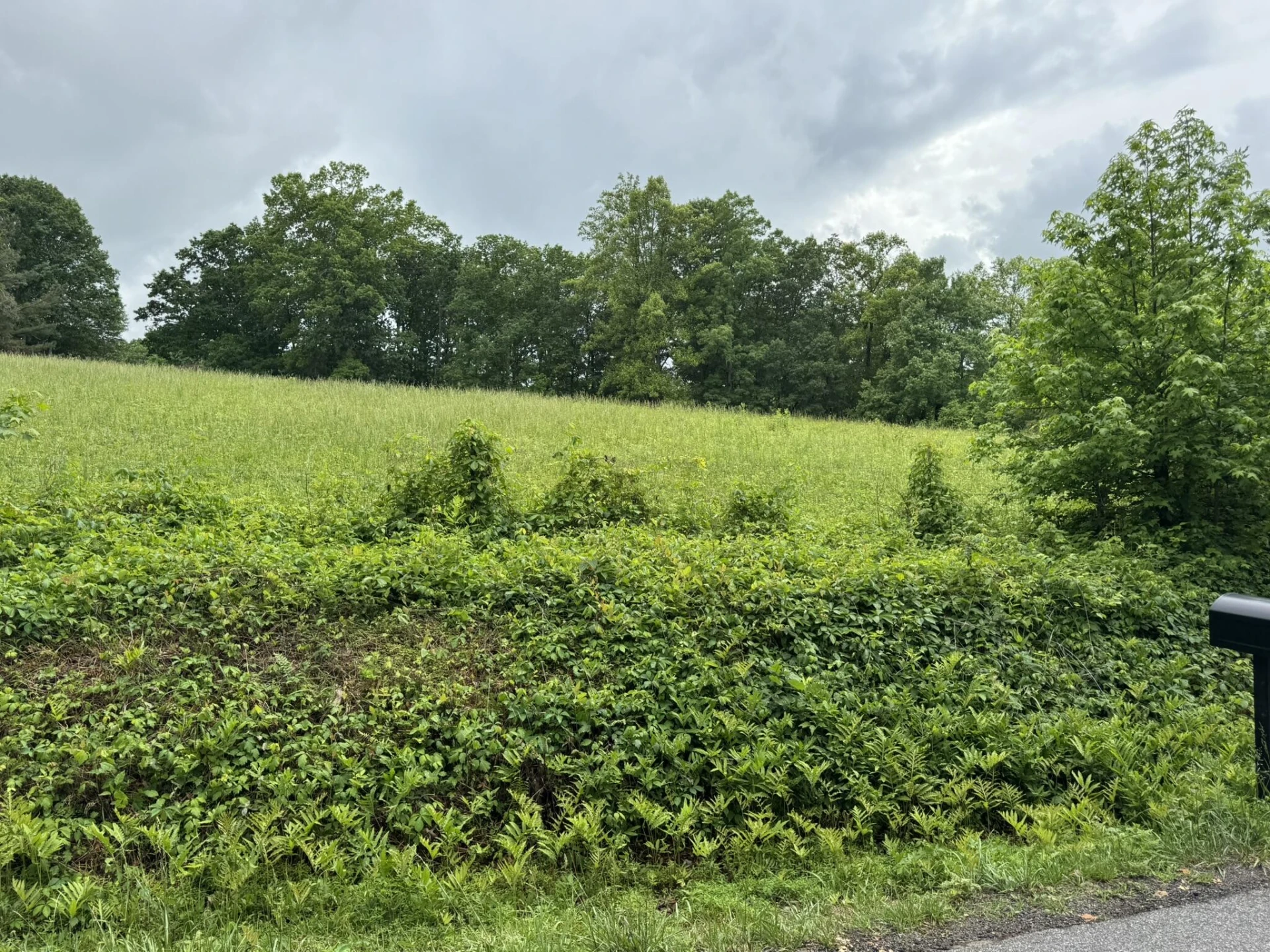2745 Old Quarry RD - Photo 67