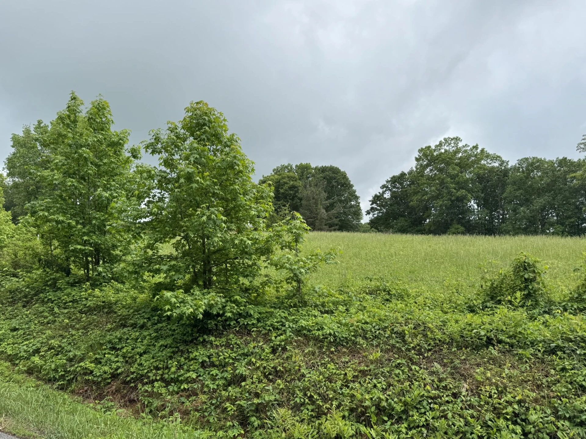 2745 Old Quarry RD - Photo 68