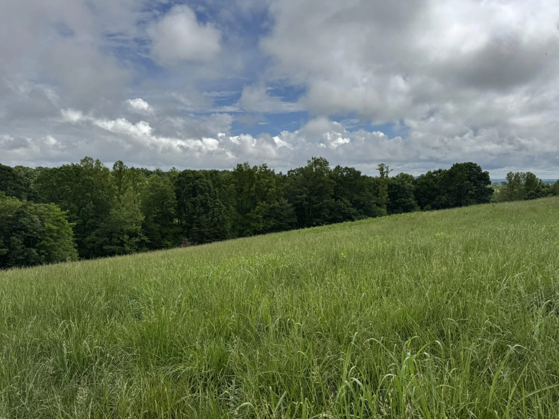 2745 Old Quarry RD - Photo 69