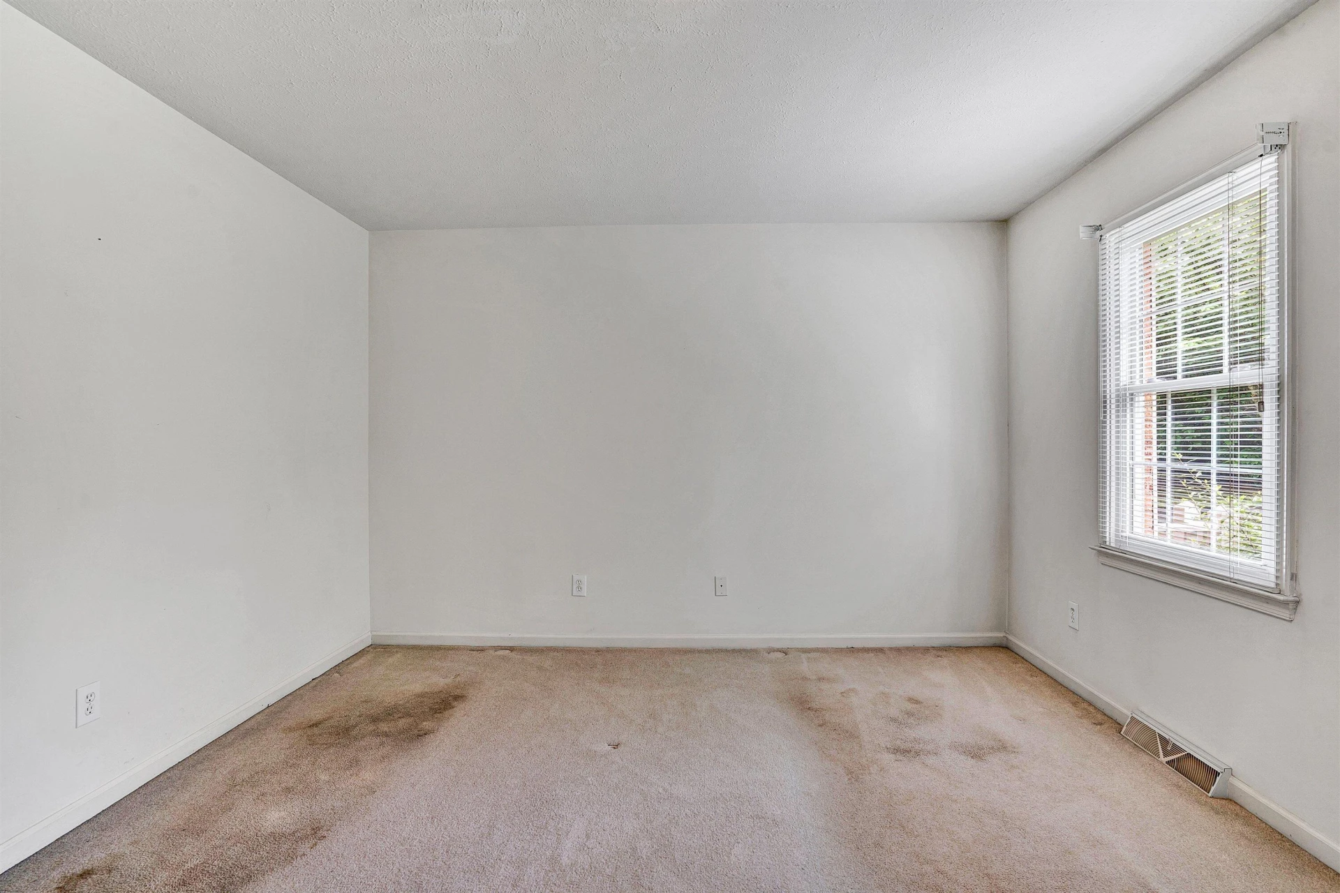 103 Tremont CT - Photo 22