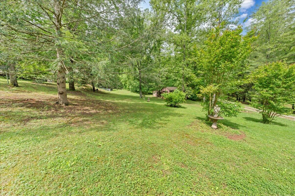 175 Webb Mountain RD - Photo 32