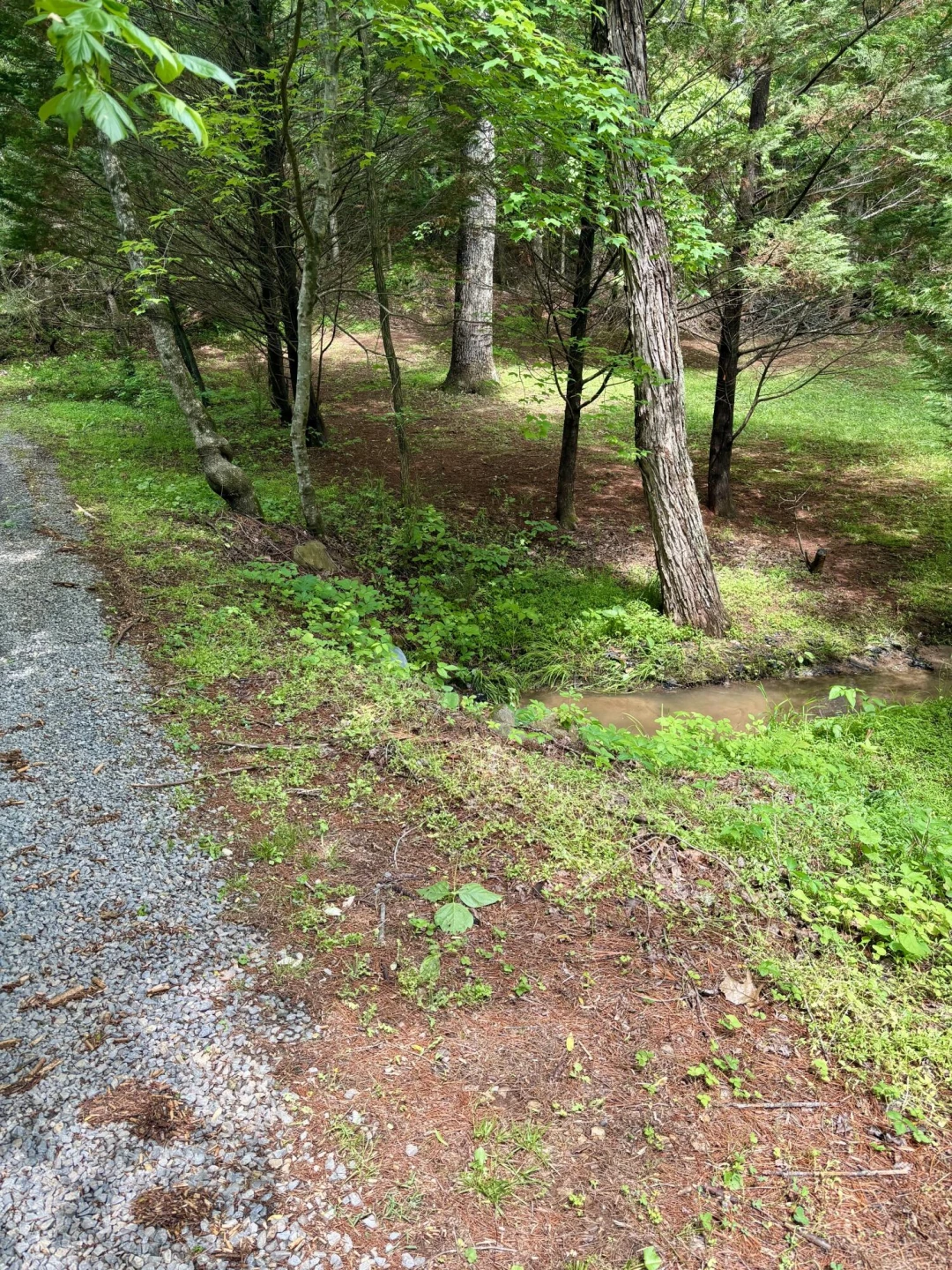 175 Webb Mountain RD - Photo 40