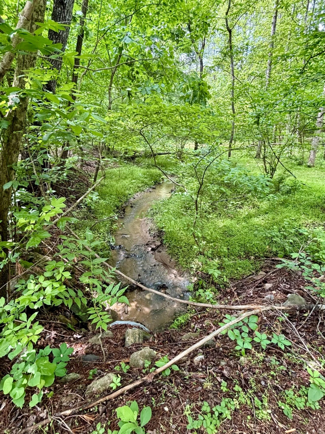 175 Webb Mountain RD - Photo 41