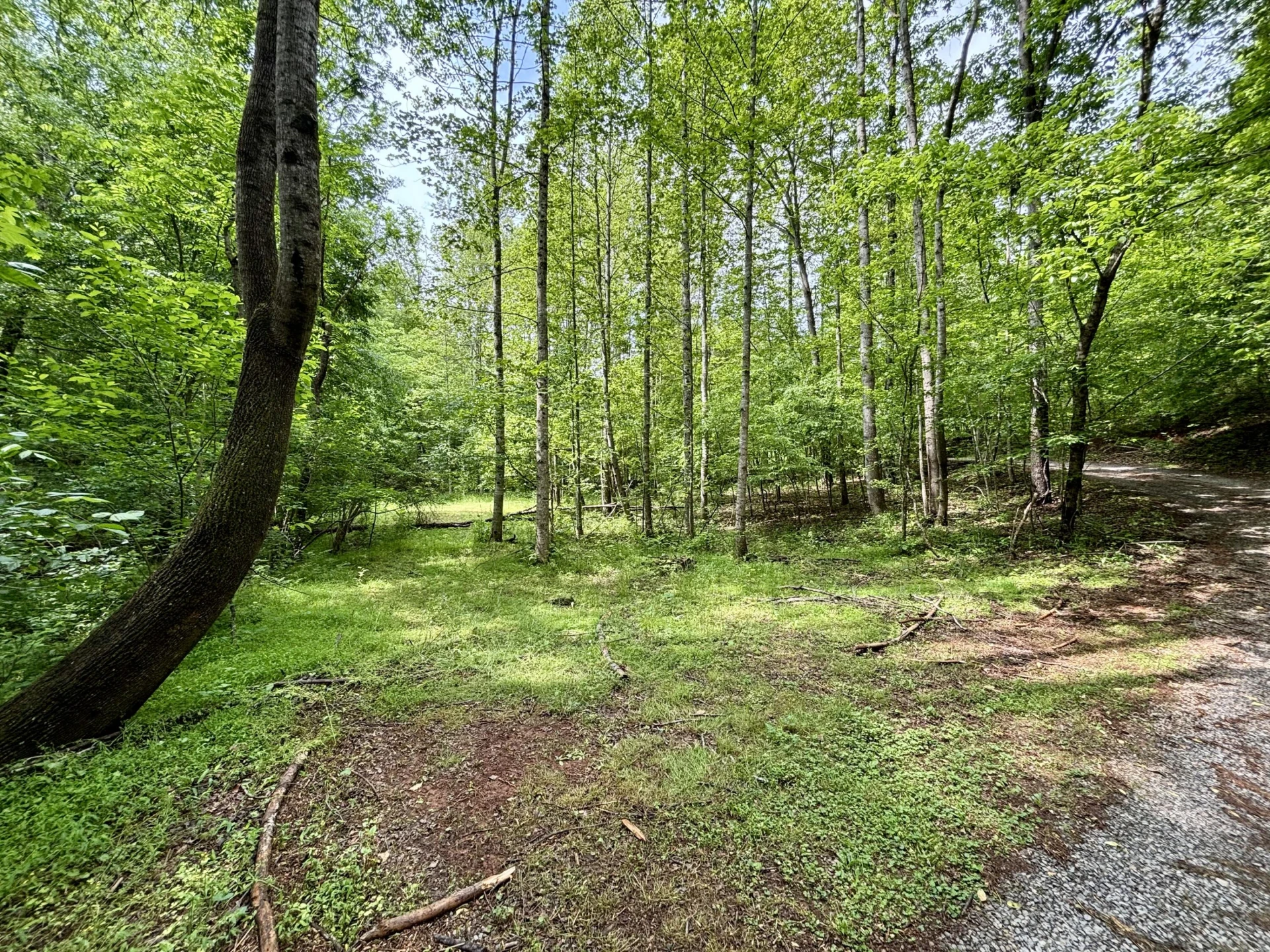 175 Webb Mountain RD - Photo 42
