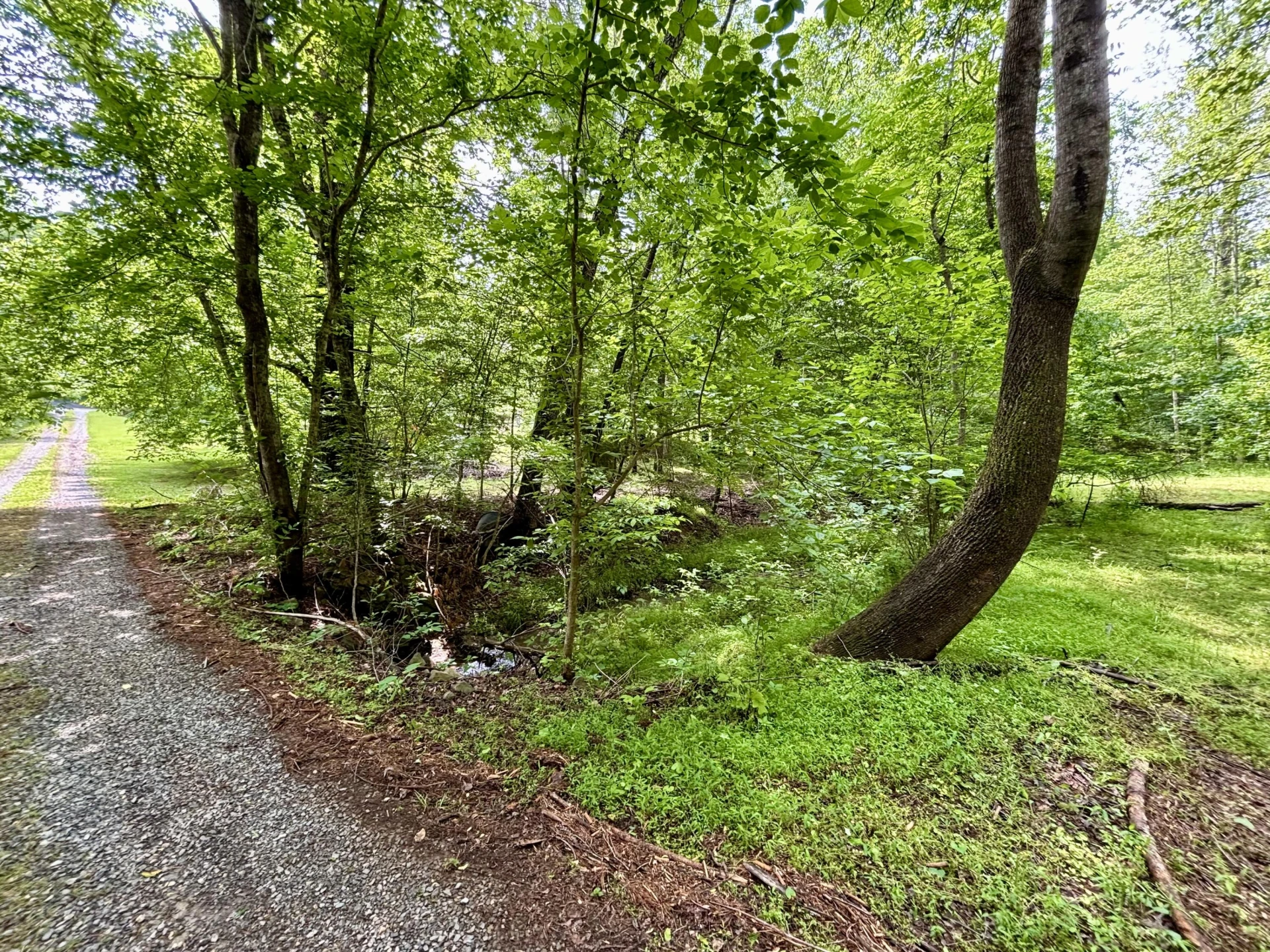 175 Webb Mountain RD - Photo 43