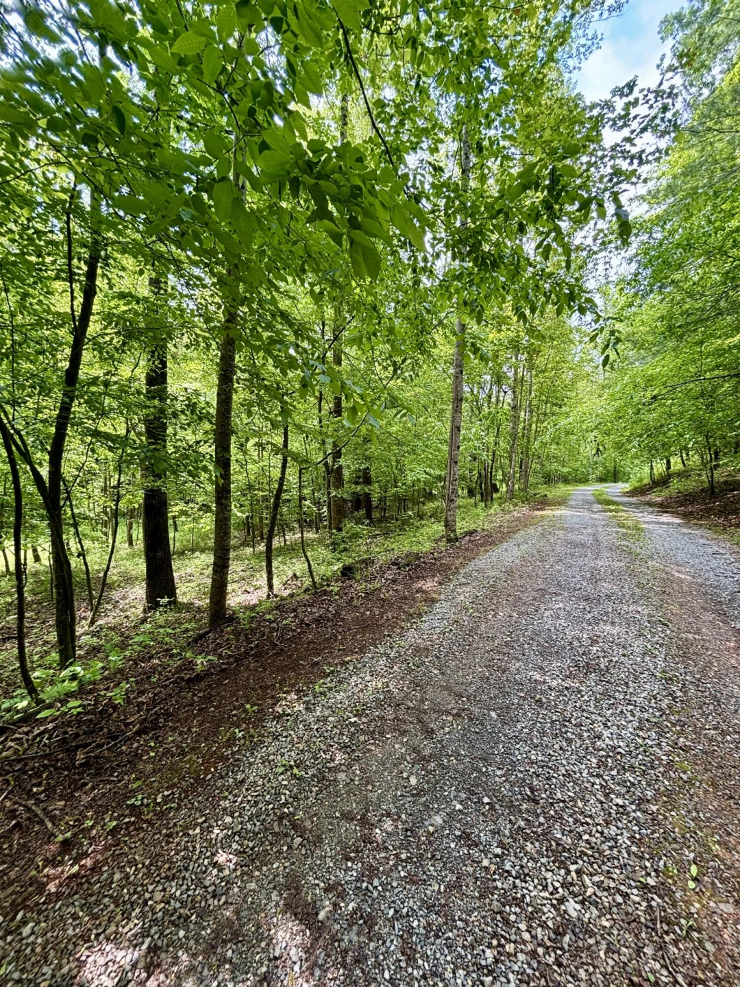 175 Webb Mountain RD - Photo 44