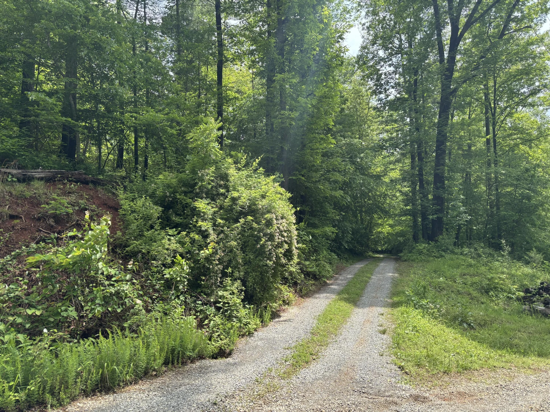 175 Webb Mountain RD - Photo 45