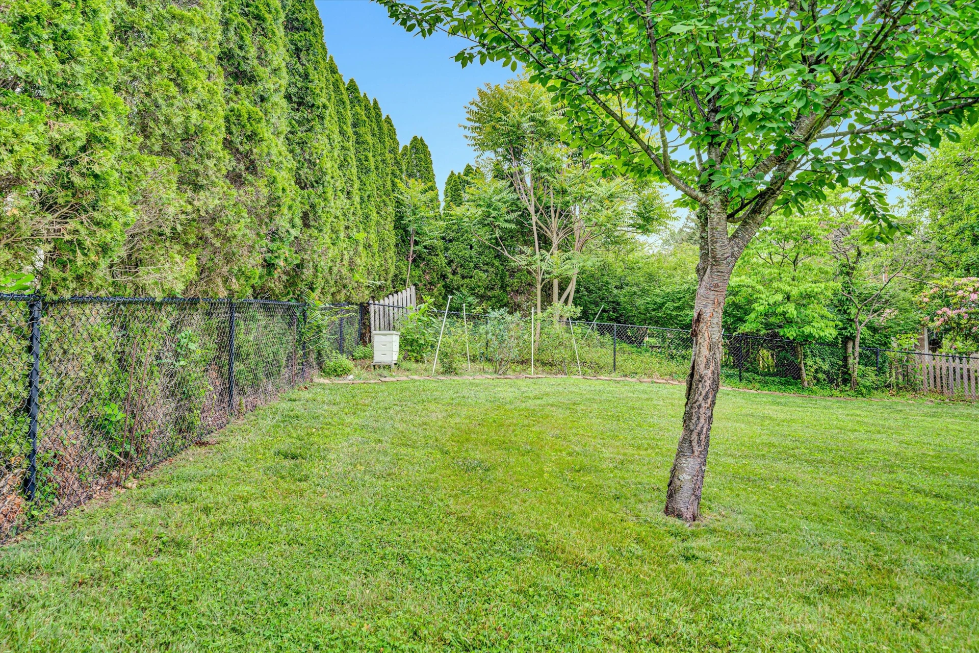 3643 Larson LN - Photo 32