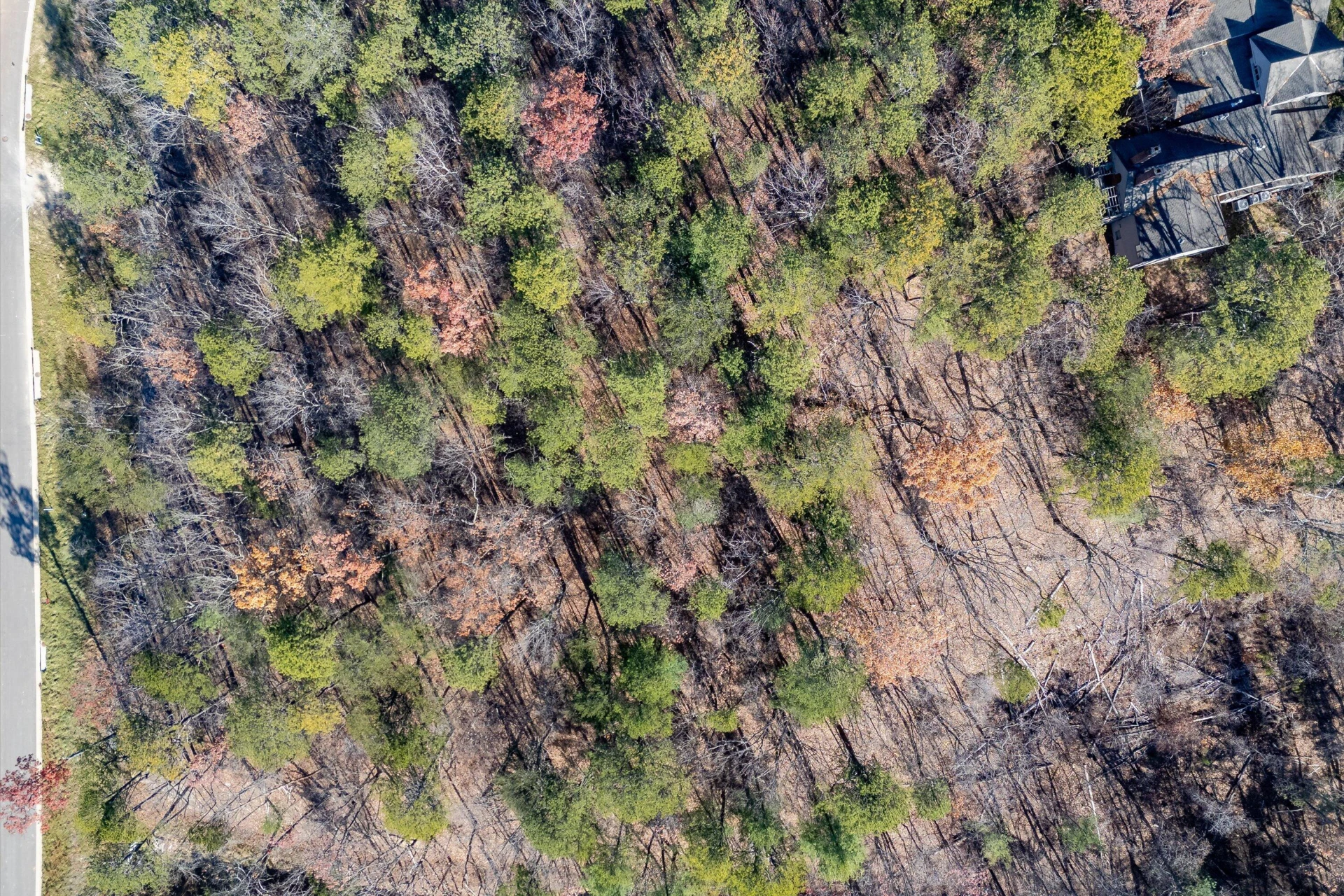 5662 Hunt Camp RD - Photo 10