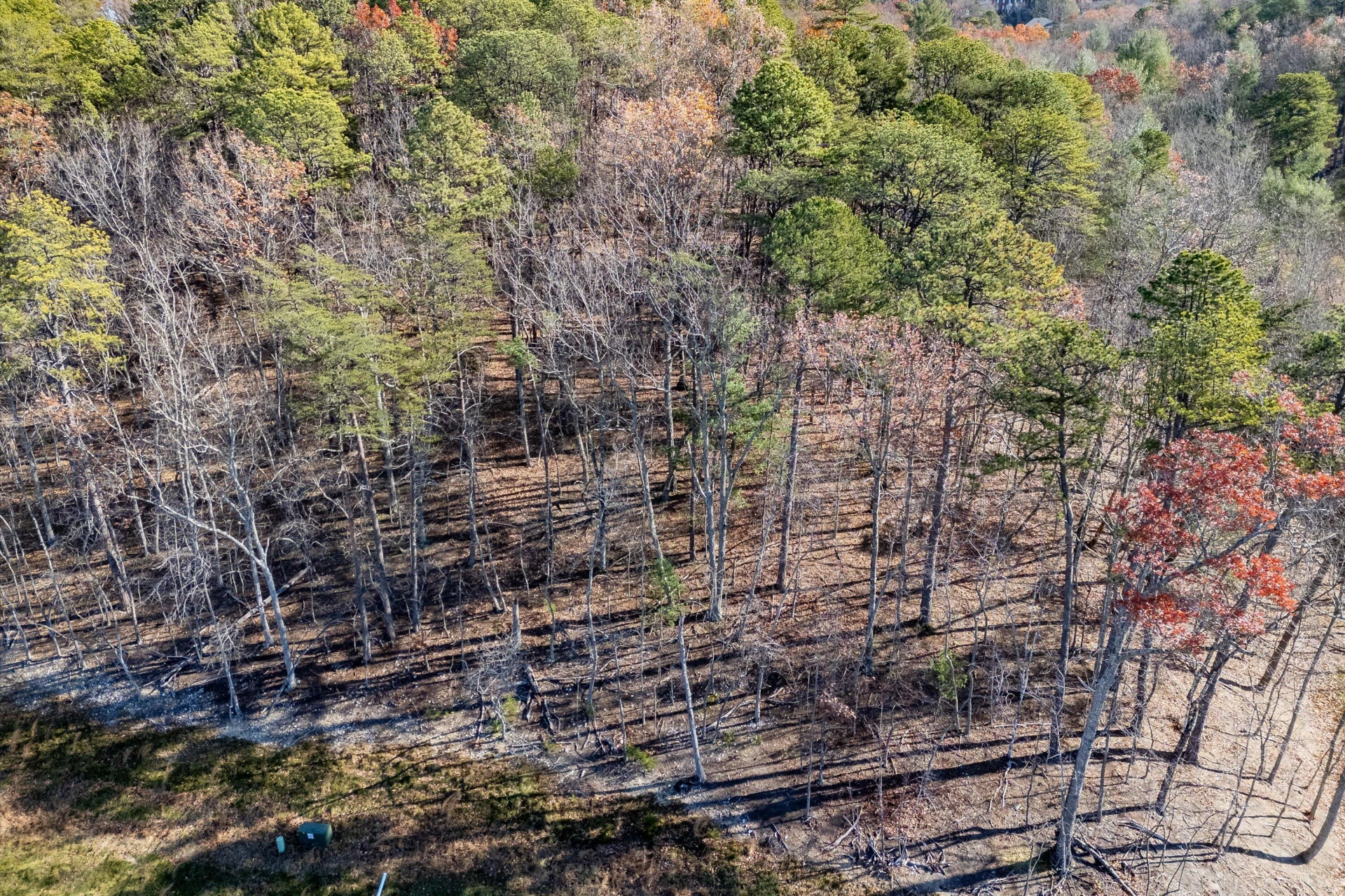 5662 Hunt Camp RD - Photo 11