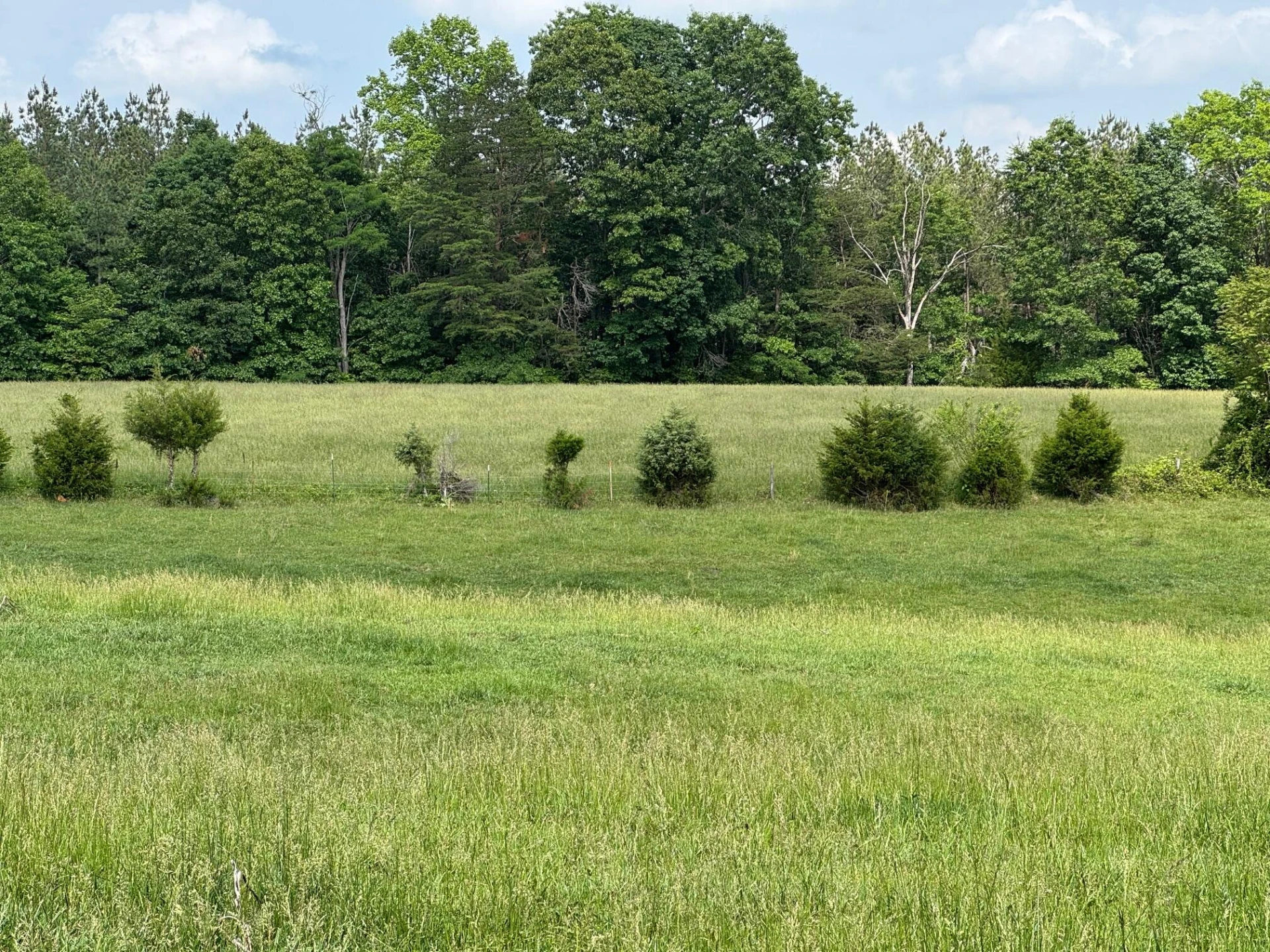 1366 Ashpone Tavern RD - Photo 10