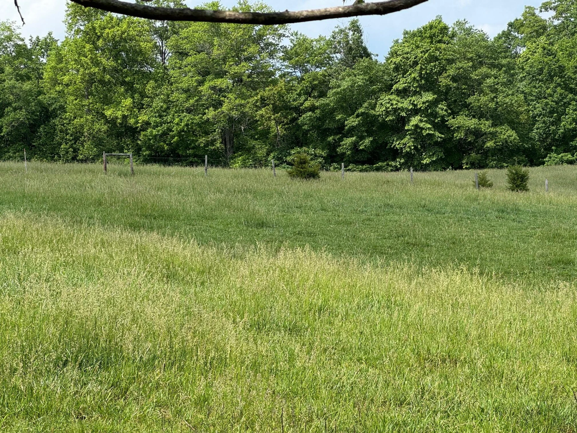 1366 Ashpone Tavern RD - Photo 11