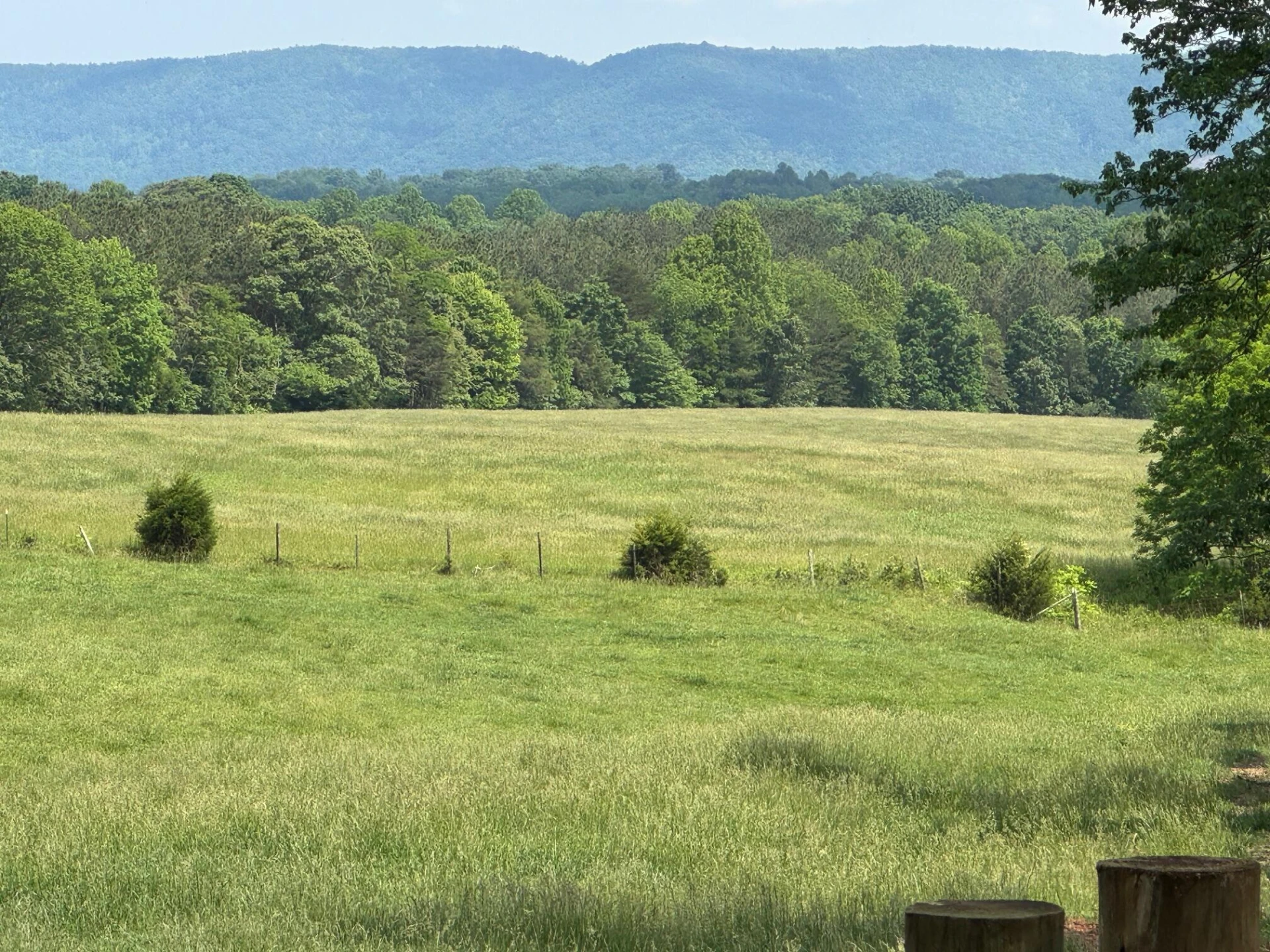 1366 Ashpone Tavern RD - Photo 2