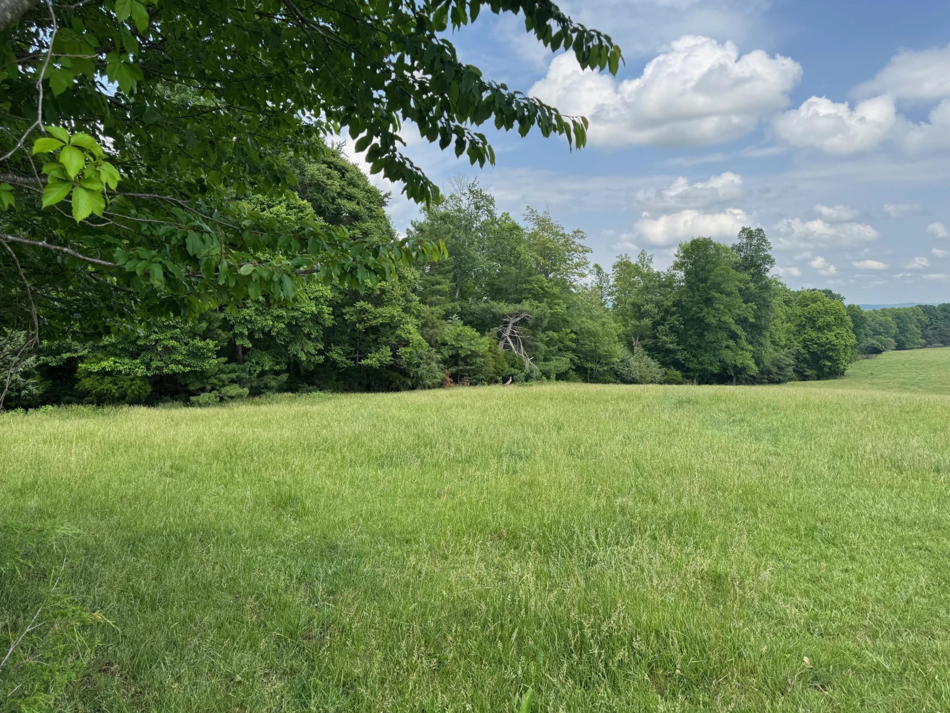 1366 Ashpone Tavern RD - Photo 4
