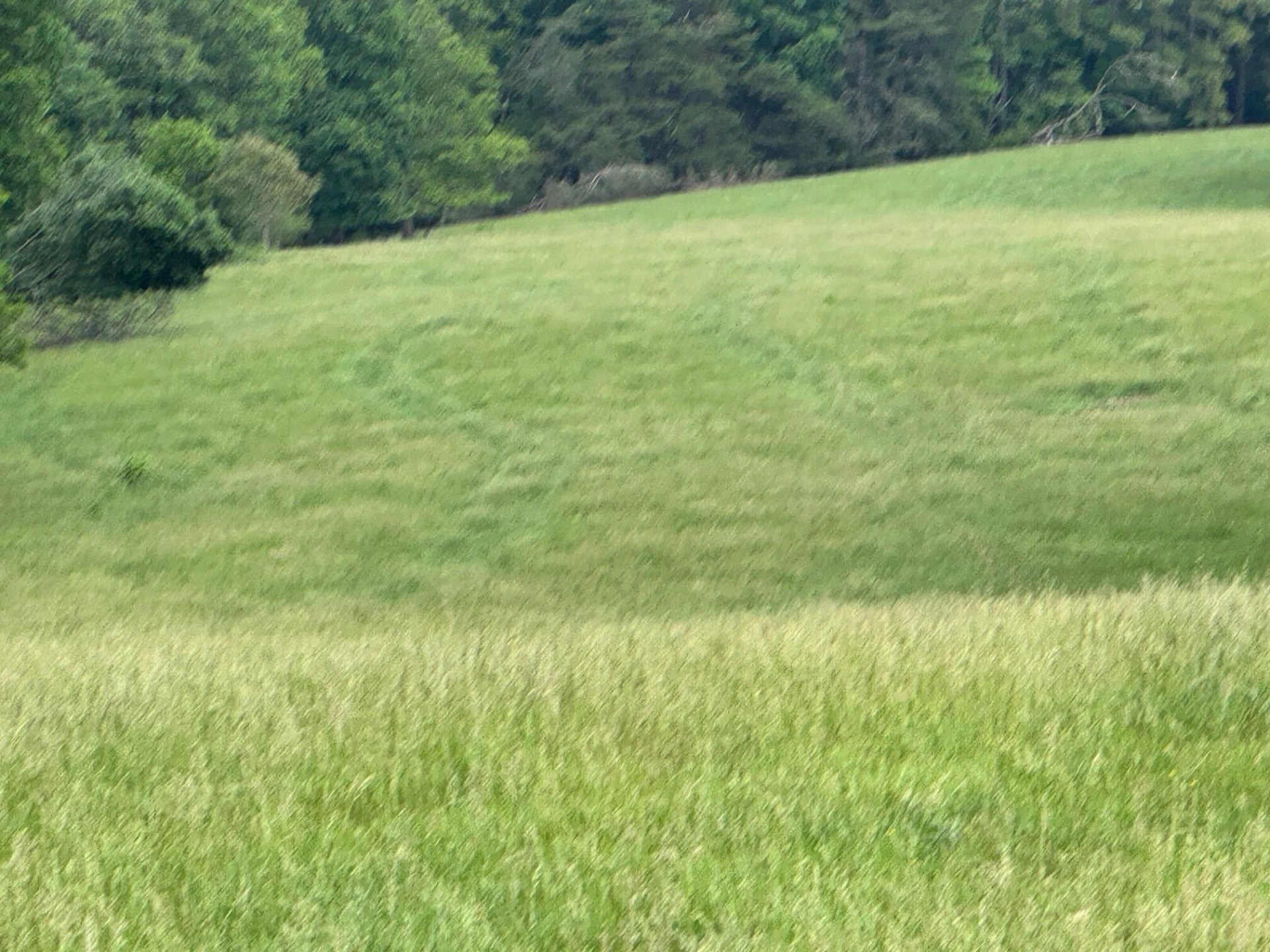 1366 Ashpone Tavern RD - Photo 5