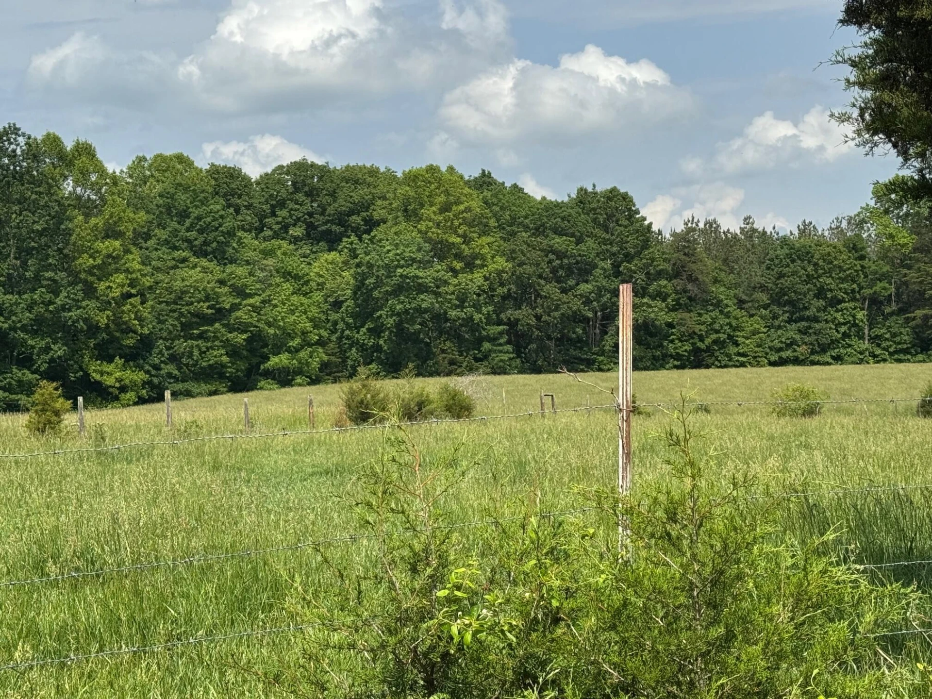1366 Ashpone Tavern RD - Photo 8