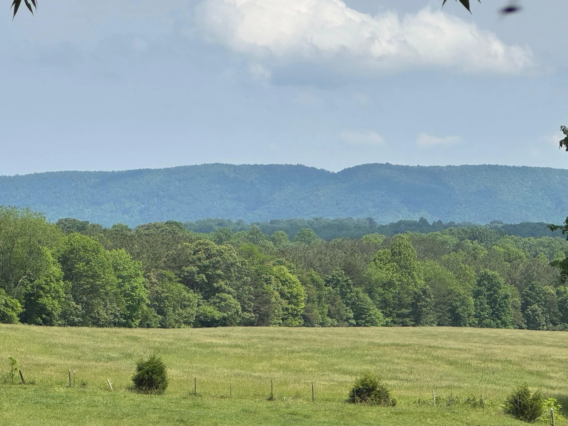 1366 Ashpone Tavern RD - Photo 9