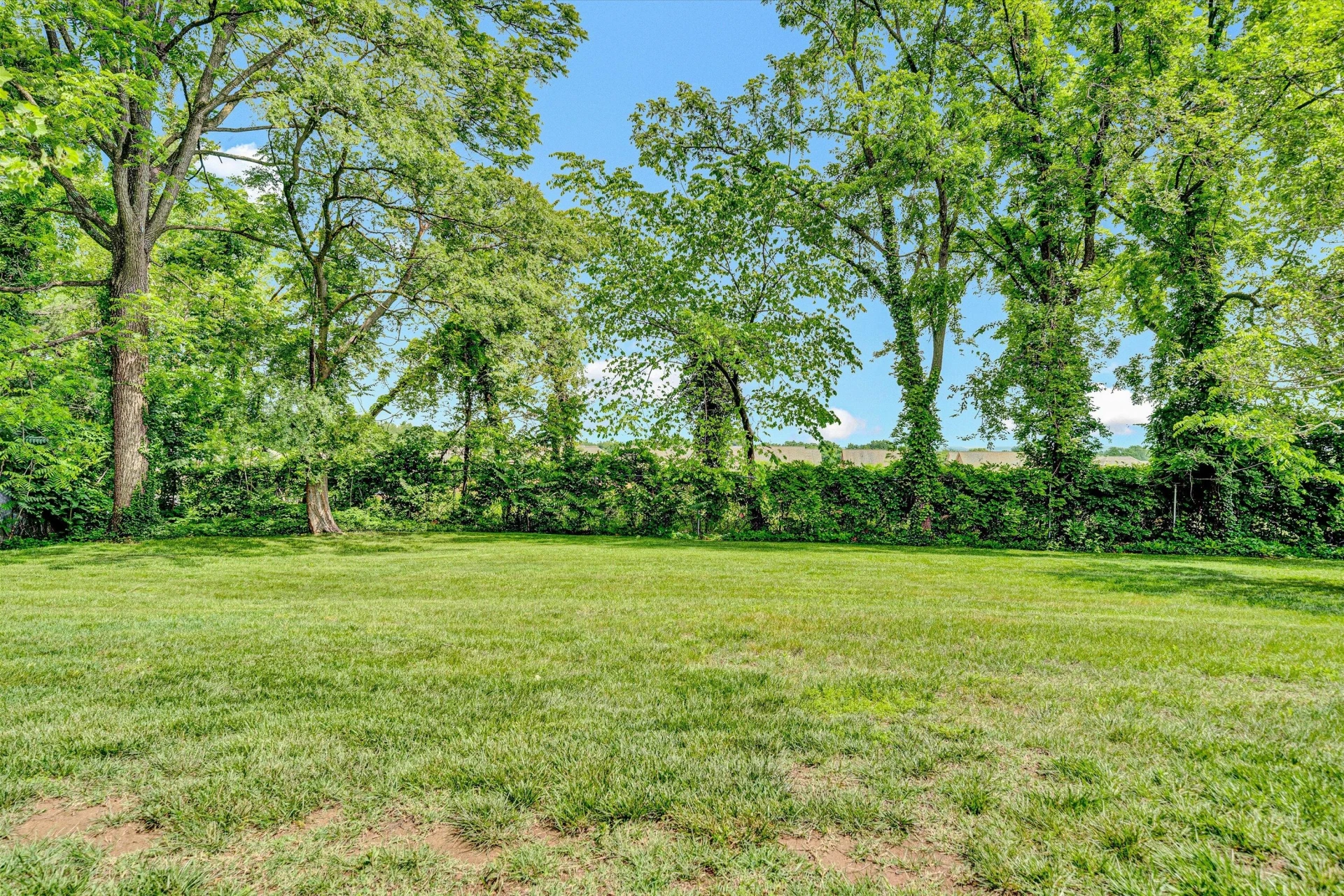 1200 Pickwick LN - Photo 49