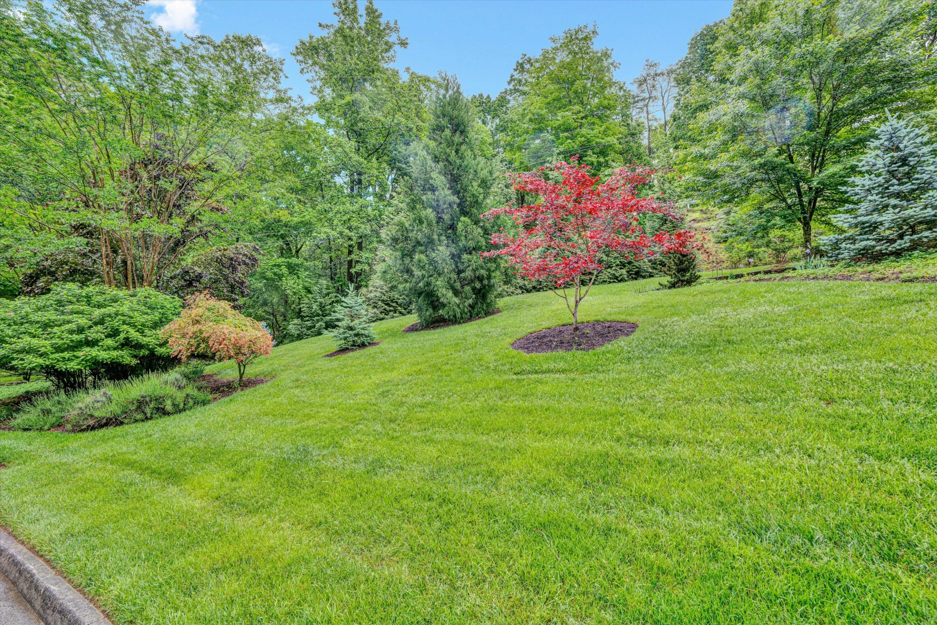 5320 Montague WAY - Photo 43