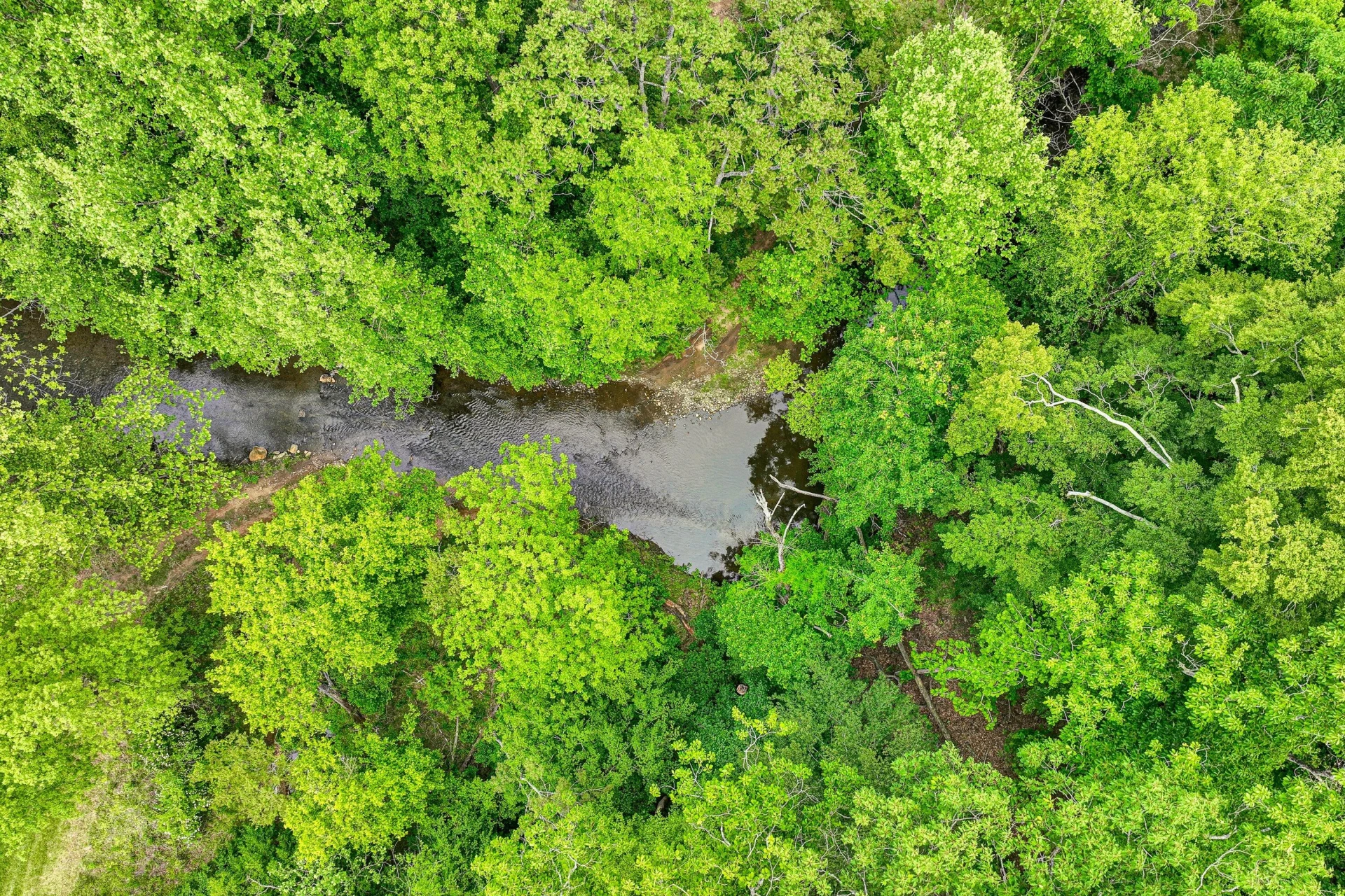 0 Trestle LN - Photo 11