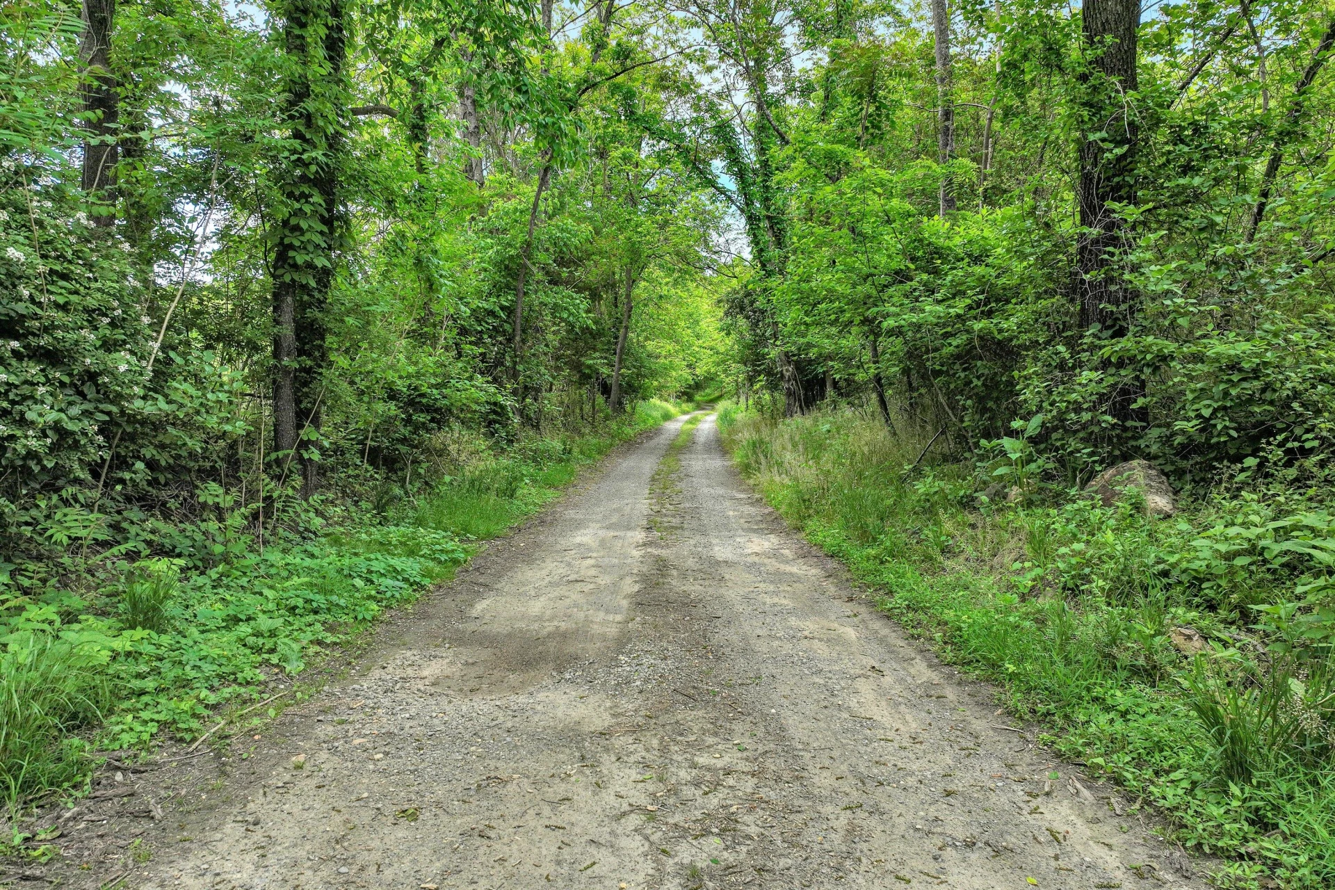 0 Trestle LN - Photo 3