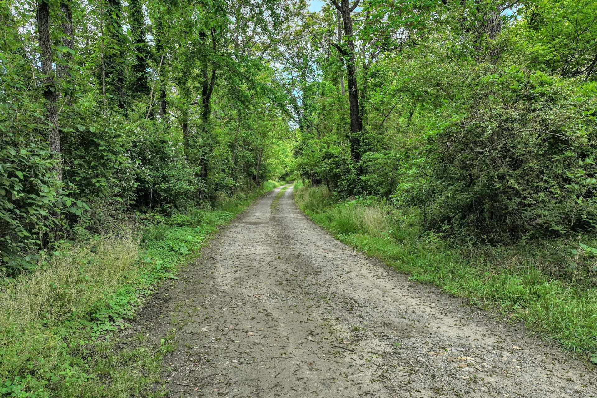 0 Trestle LN - Photo 4