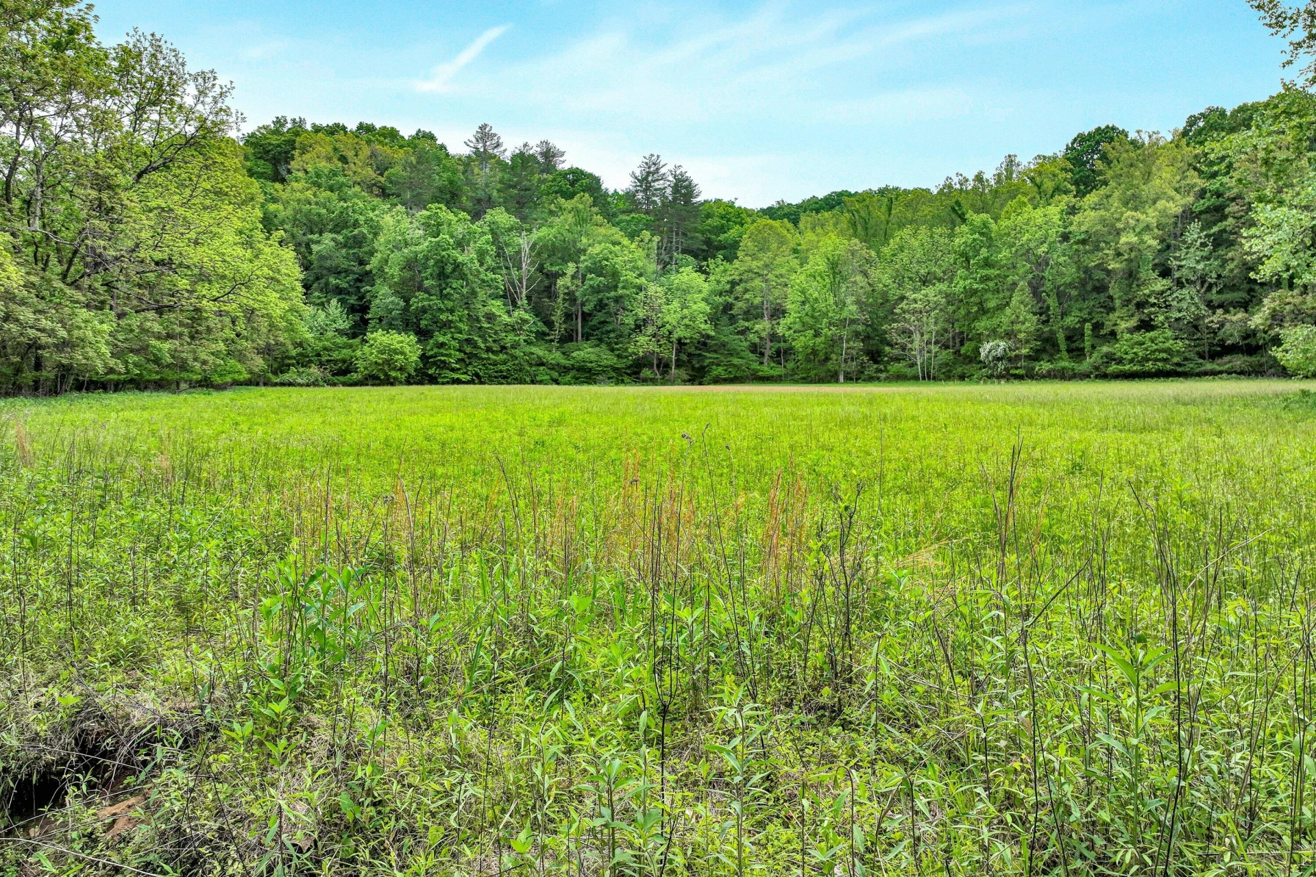 0 Trestle LN - Photo 5