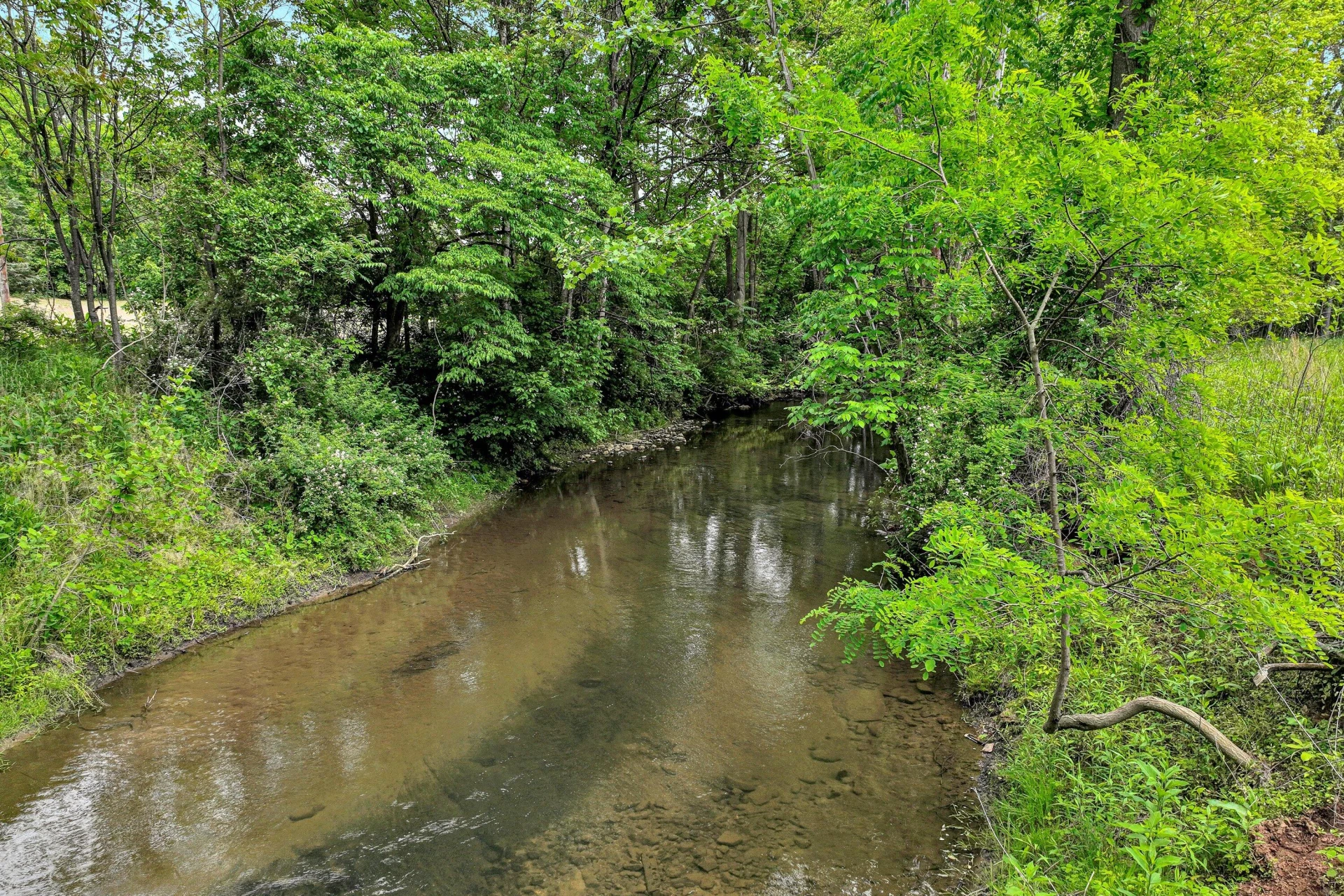 0 Trestle LN - Photo 6