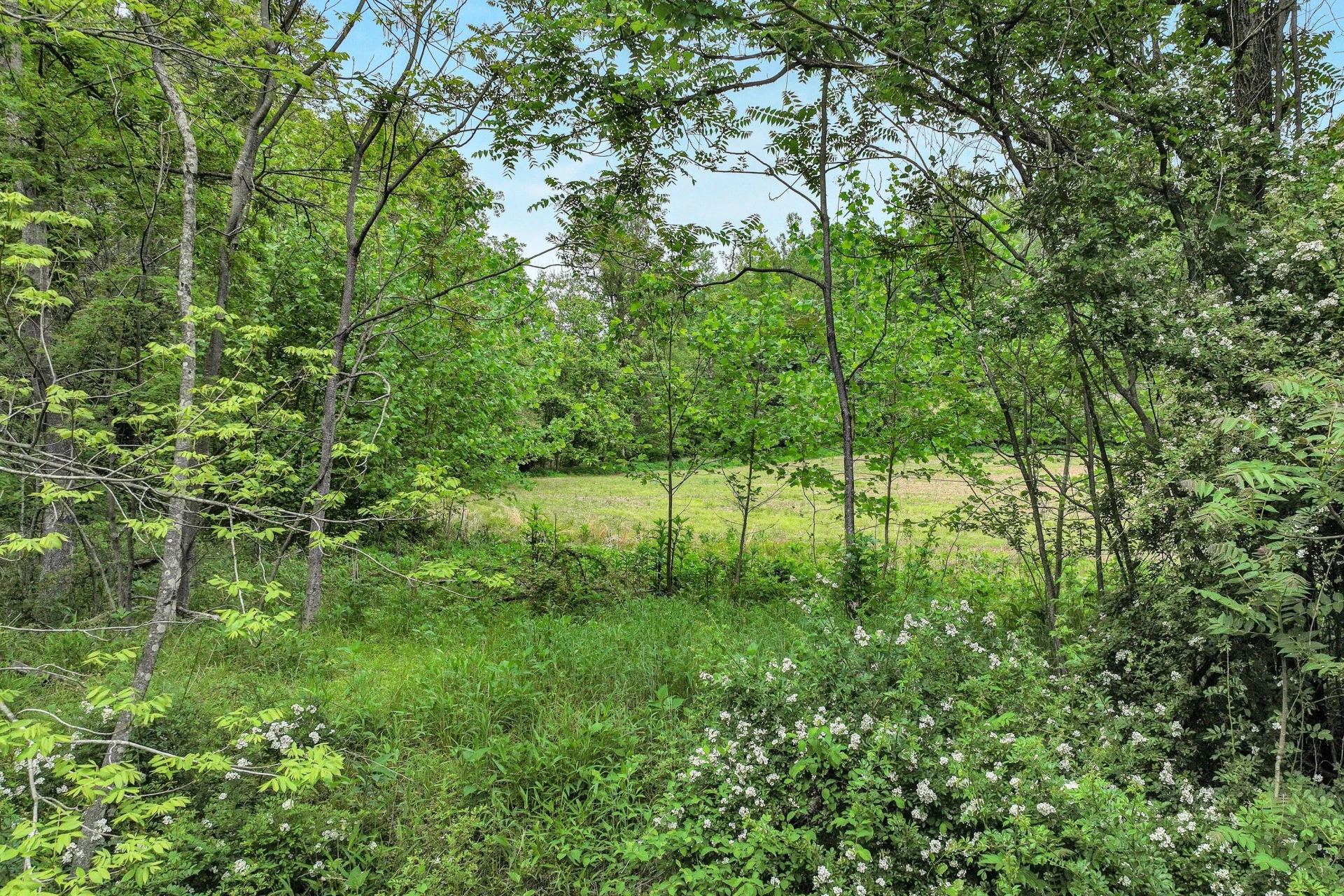 0 Trestle LN - Photo 8