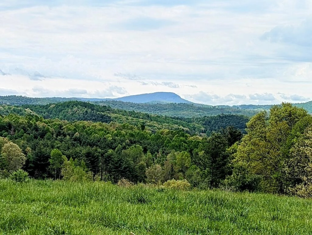 0 Alum Ridge RD