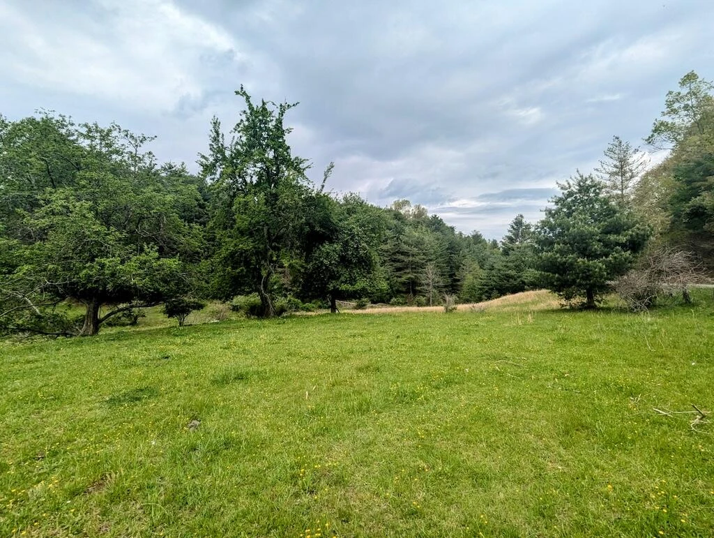 0 Alum Ridge RD - Photo 10
