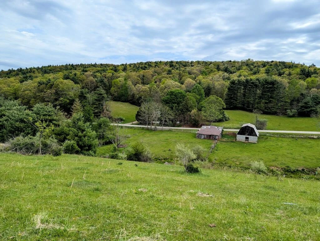 0 Alum Ridge RD - Photo 13
