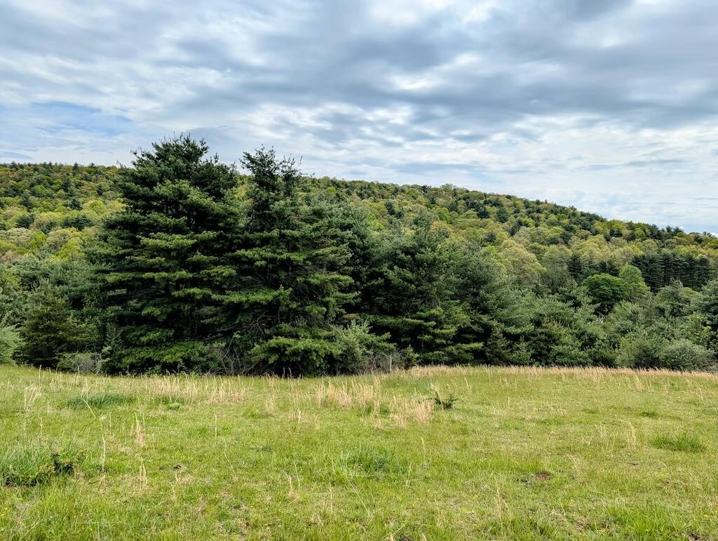 0 Alum Ridge RD - Photo 14