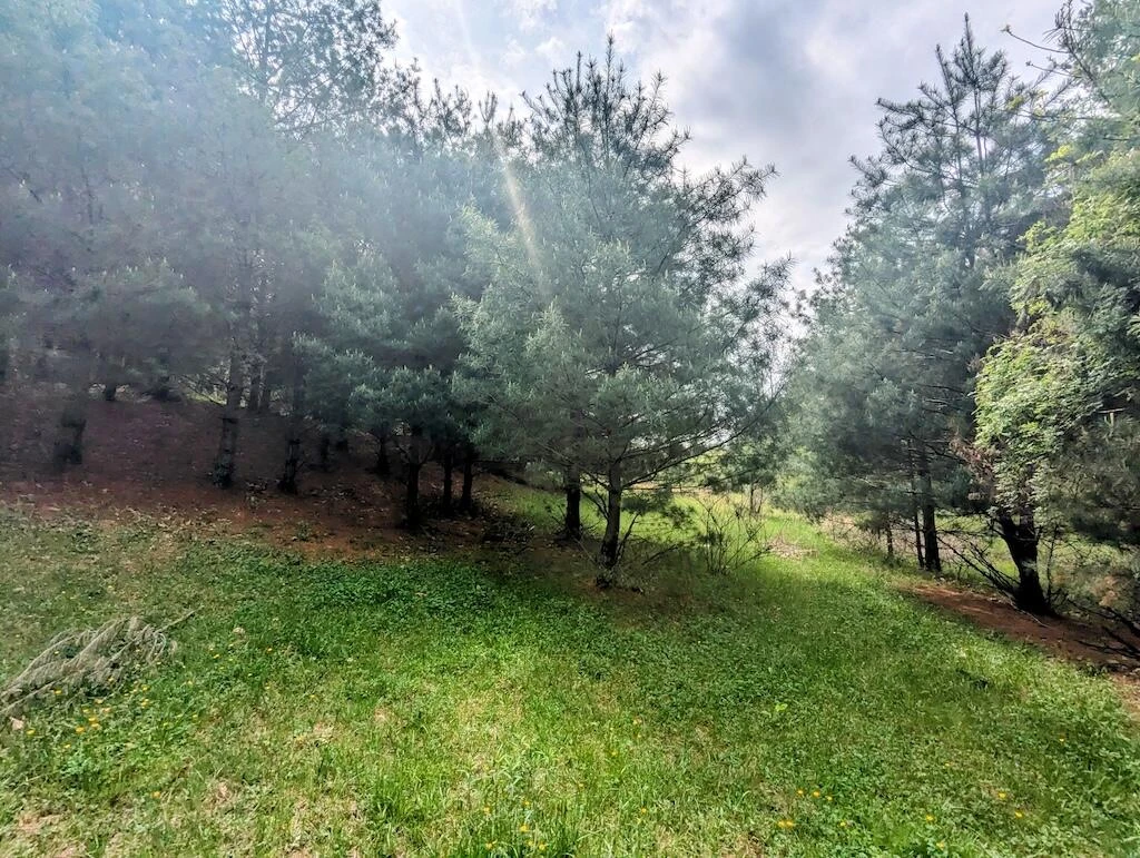 0 Alum Ridge RD - Photo 15