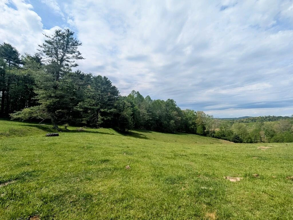 0 Alum Ridge RD - Photo 4