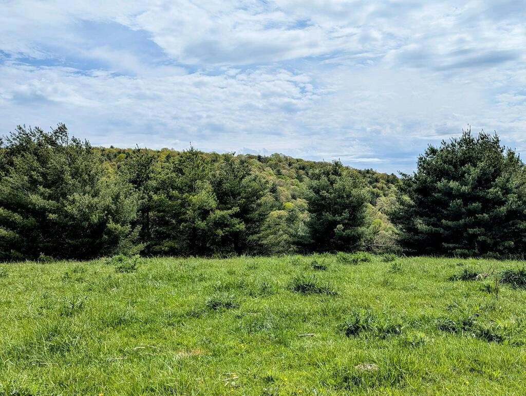 0 Alum Ridge RD - Photo 6