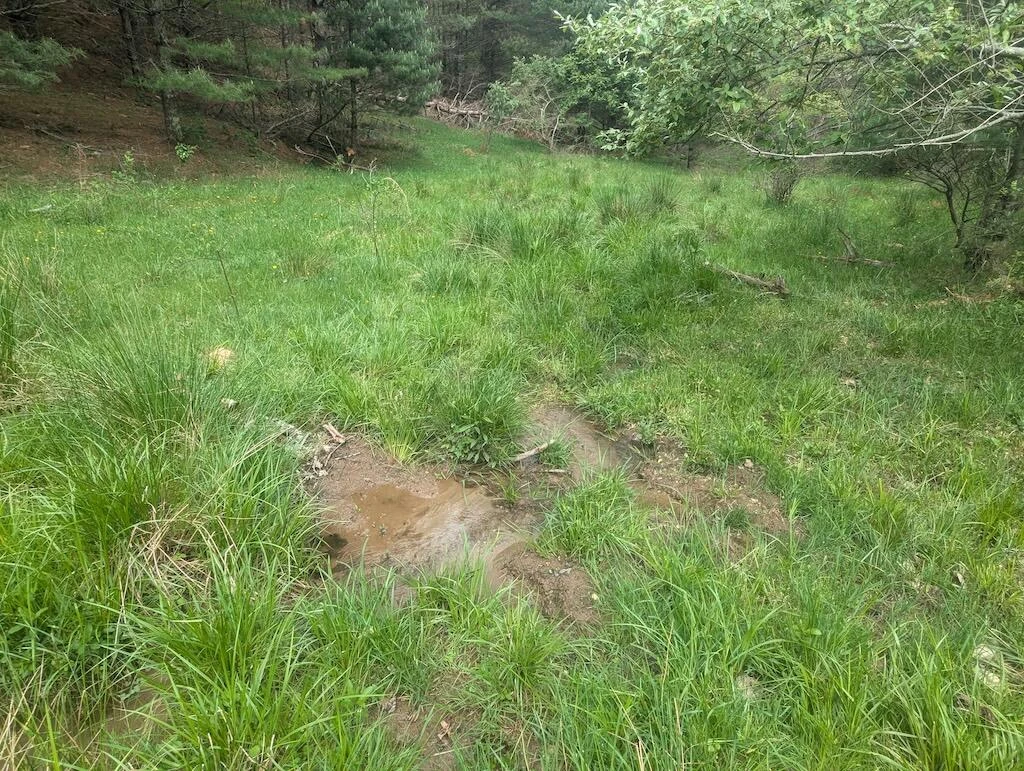 0 Alum Ridge RD - Photo 7