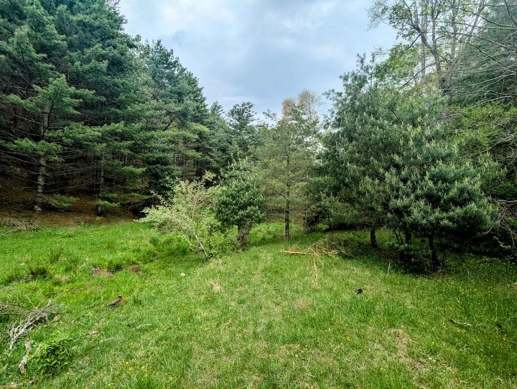 0 Alum Ridge RD - Photo 8