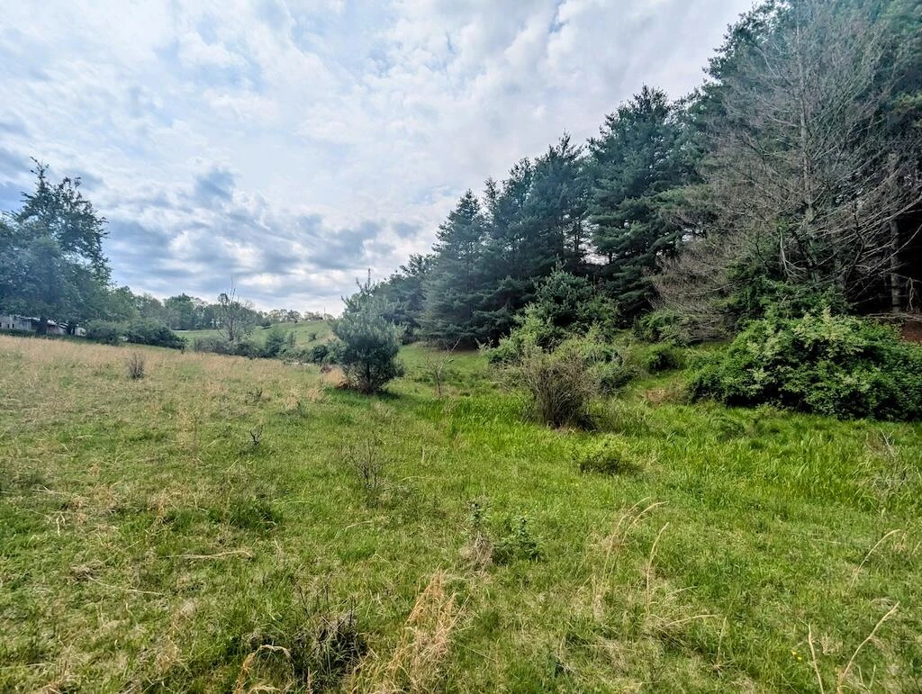 0 Alum Ridge RD - Photo 9