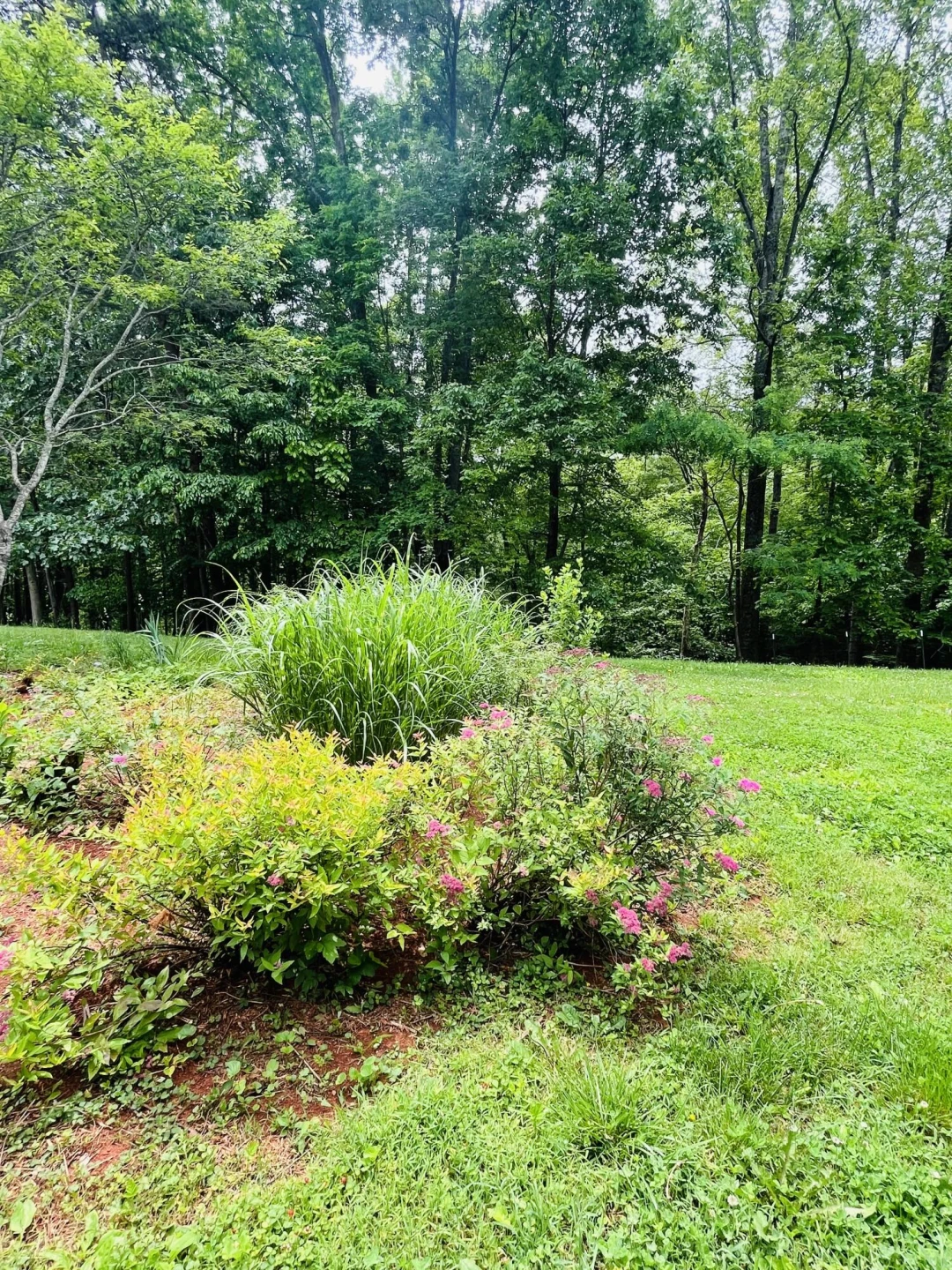 139 Daffodill DR - Photo 26