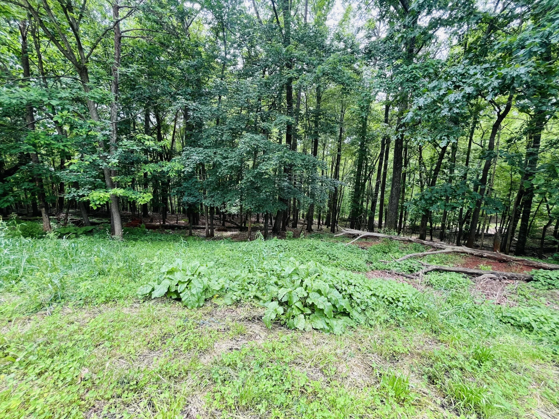 139 Daffodill DR - Photo 27