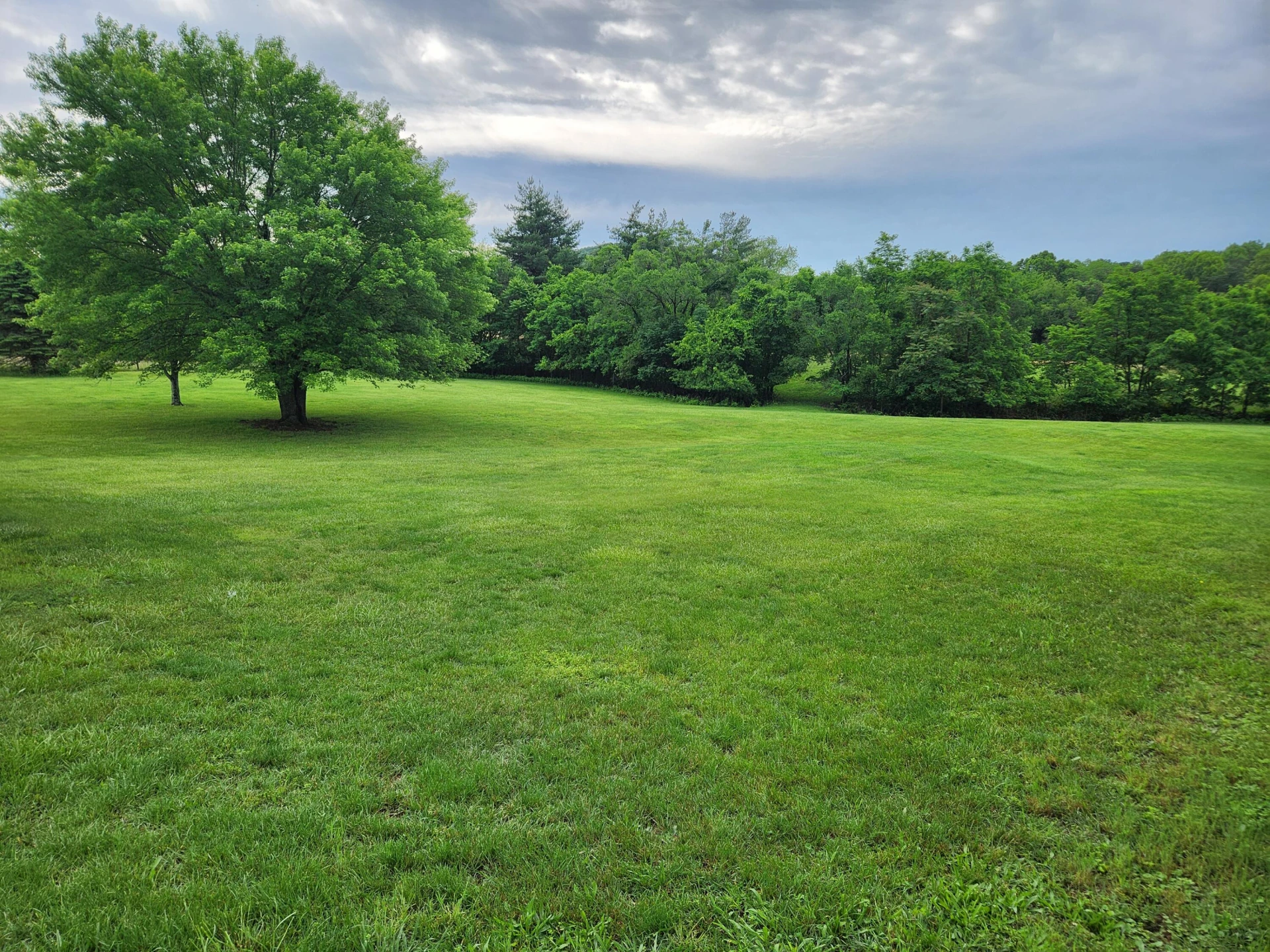 215 Overlook RD - Photo 28