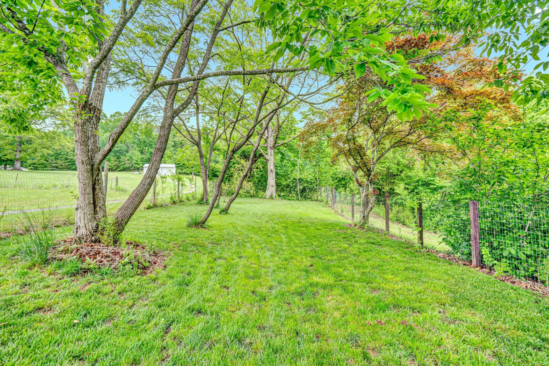 2481 Laymantown RD - Photo 36