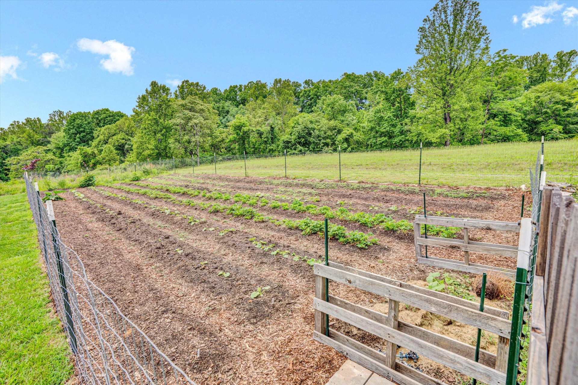 2481 Laymantown RD - Photo 38