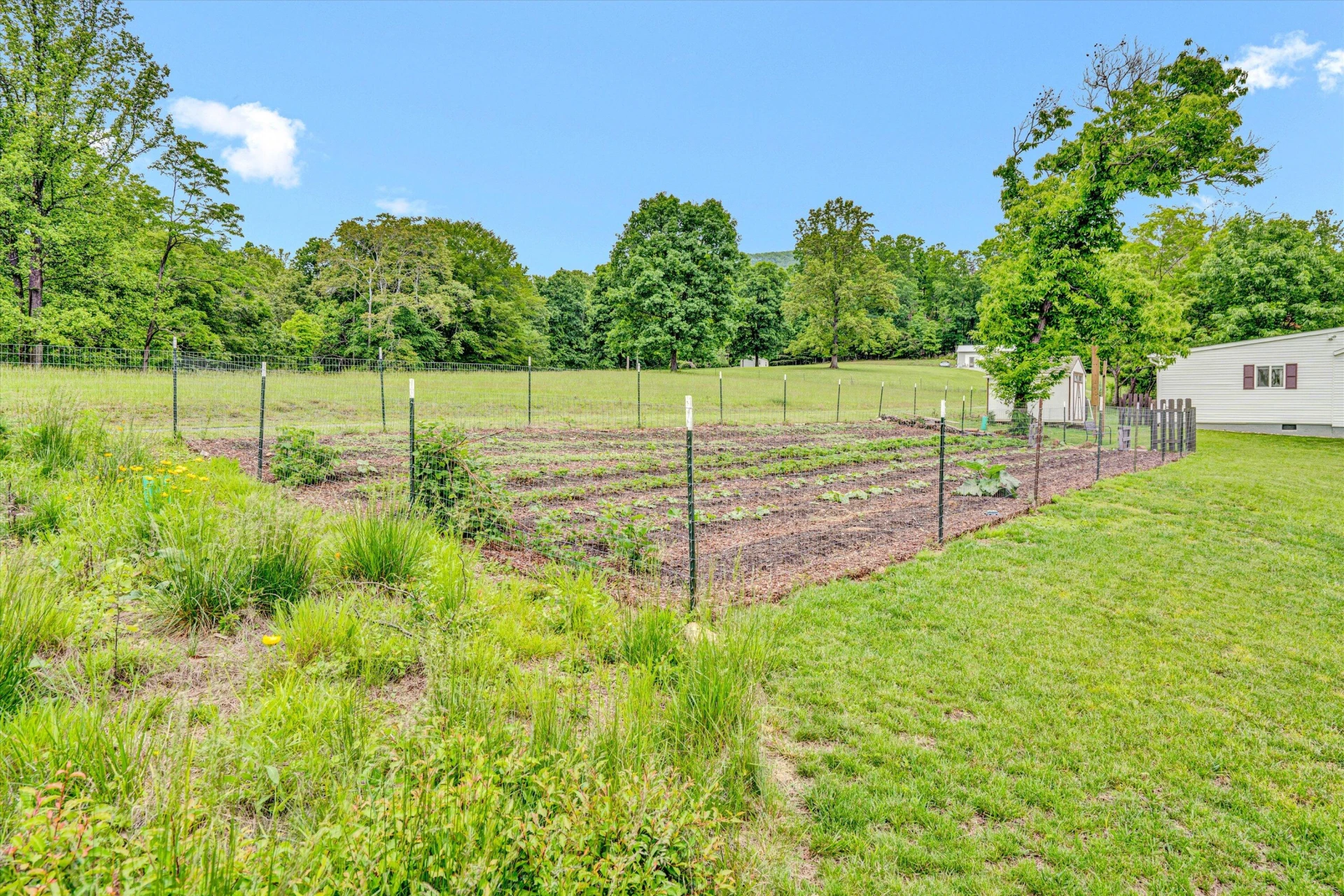 2481 Laymantown RD - Photo 39