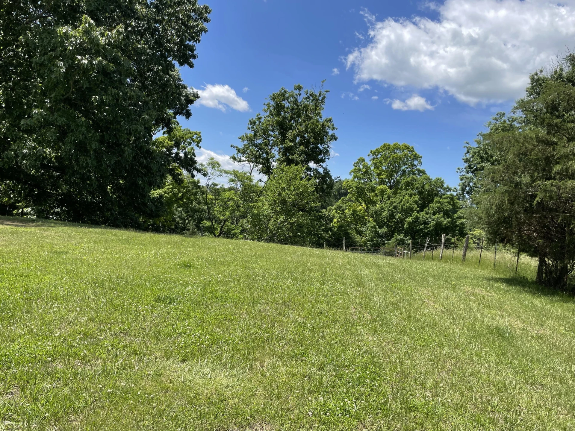 229 Rader RD - Photo 19